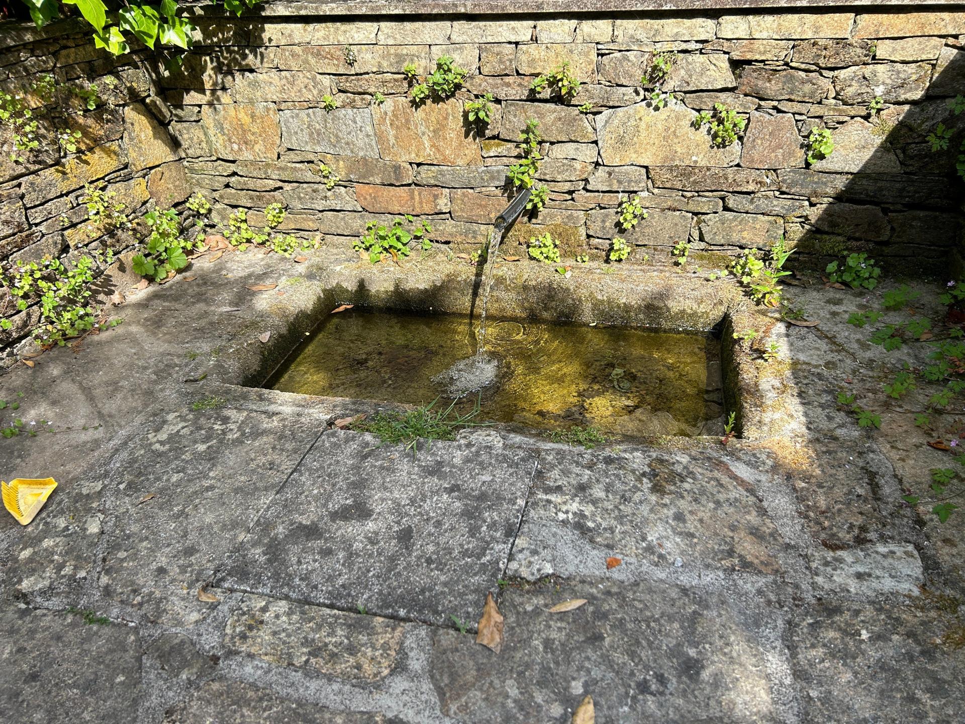 Photo 48 de l'annonce.