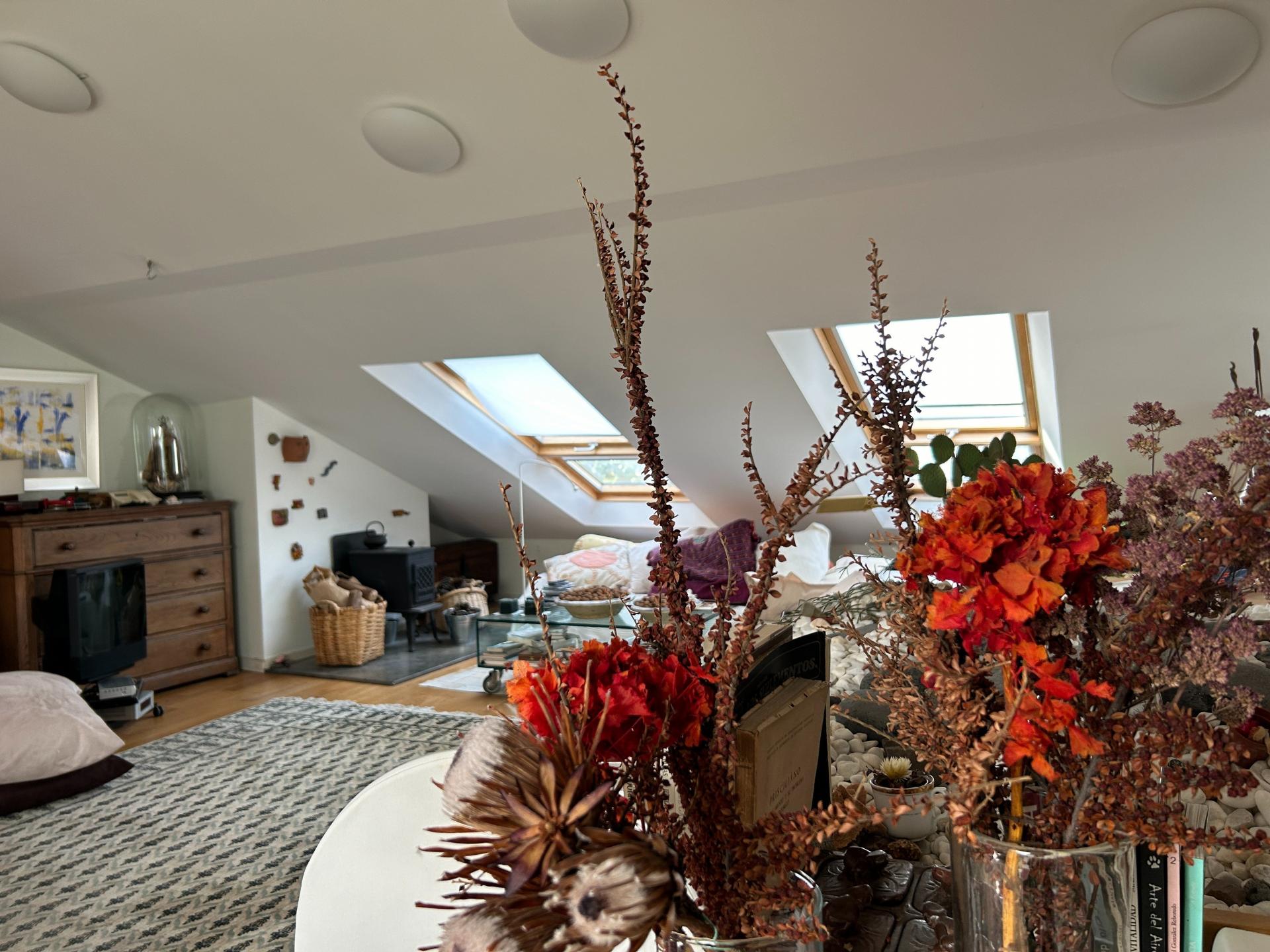 Photo 39 de l'annonce.