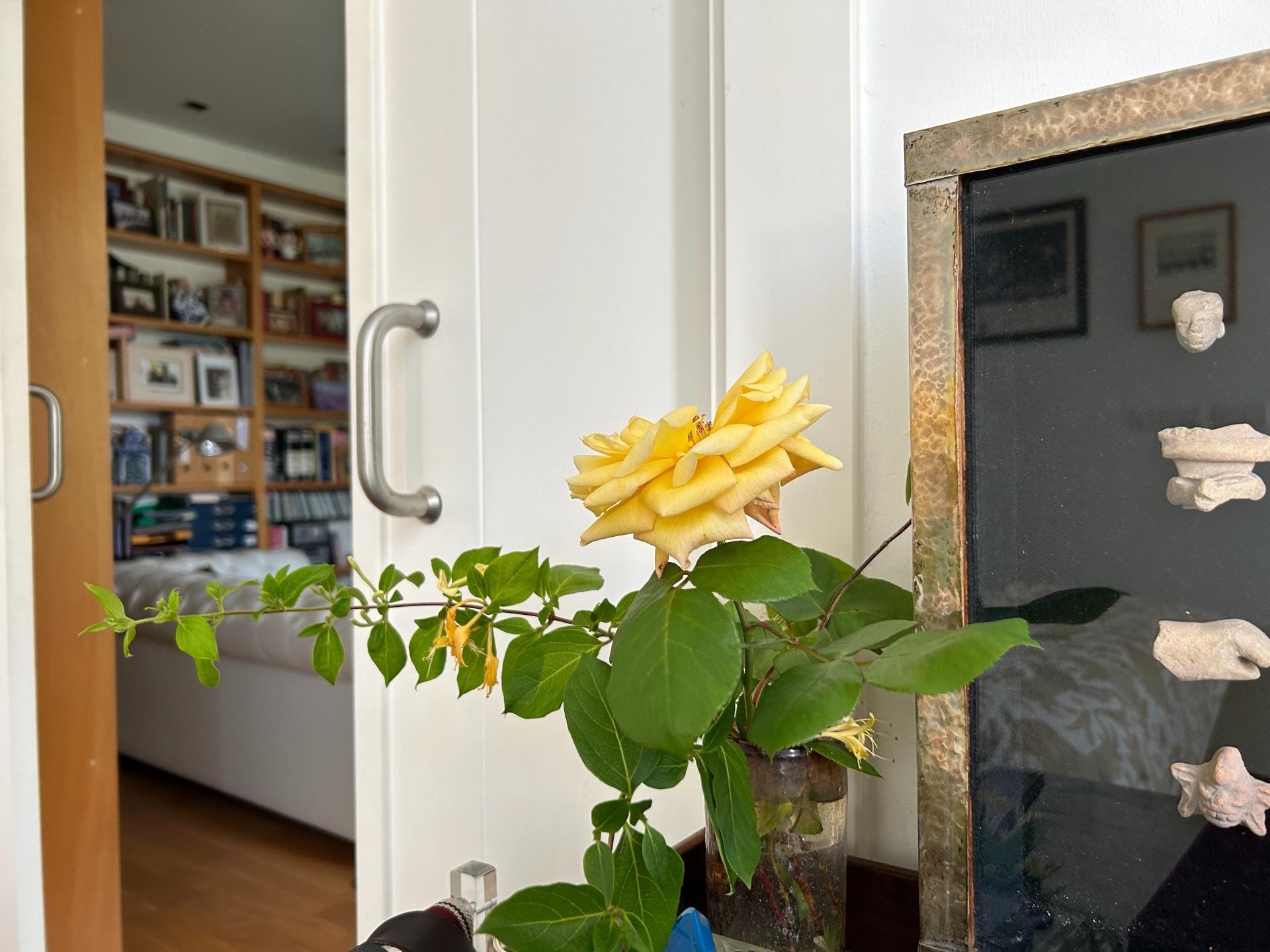 Photo 32 de l'annonce.