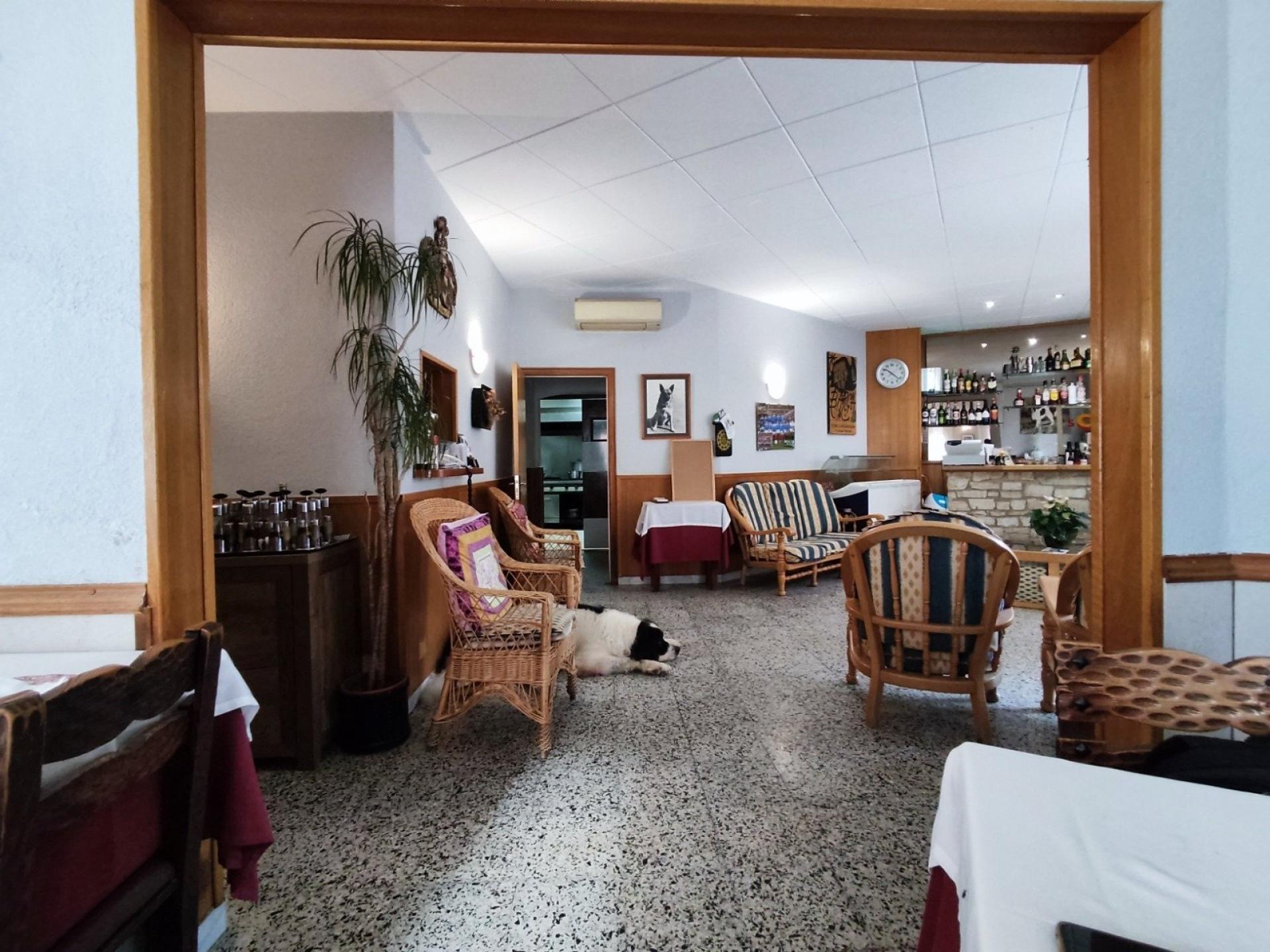 Photo 3 de l'annonce.