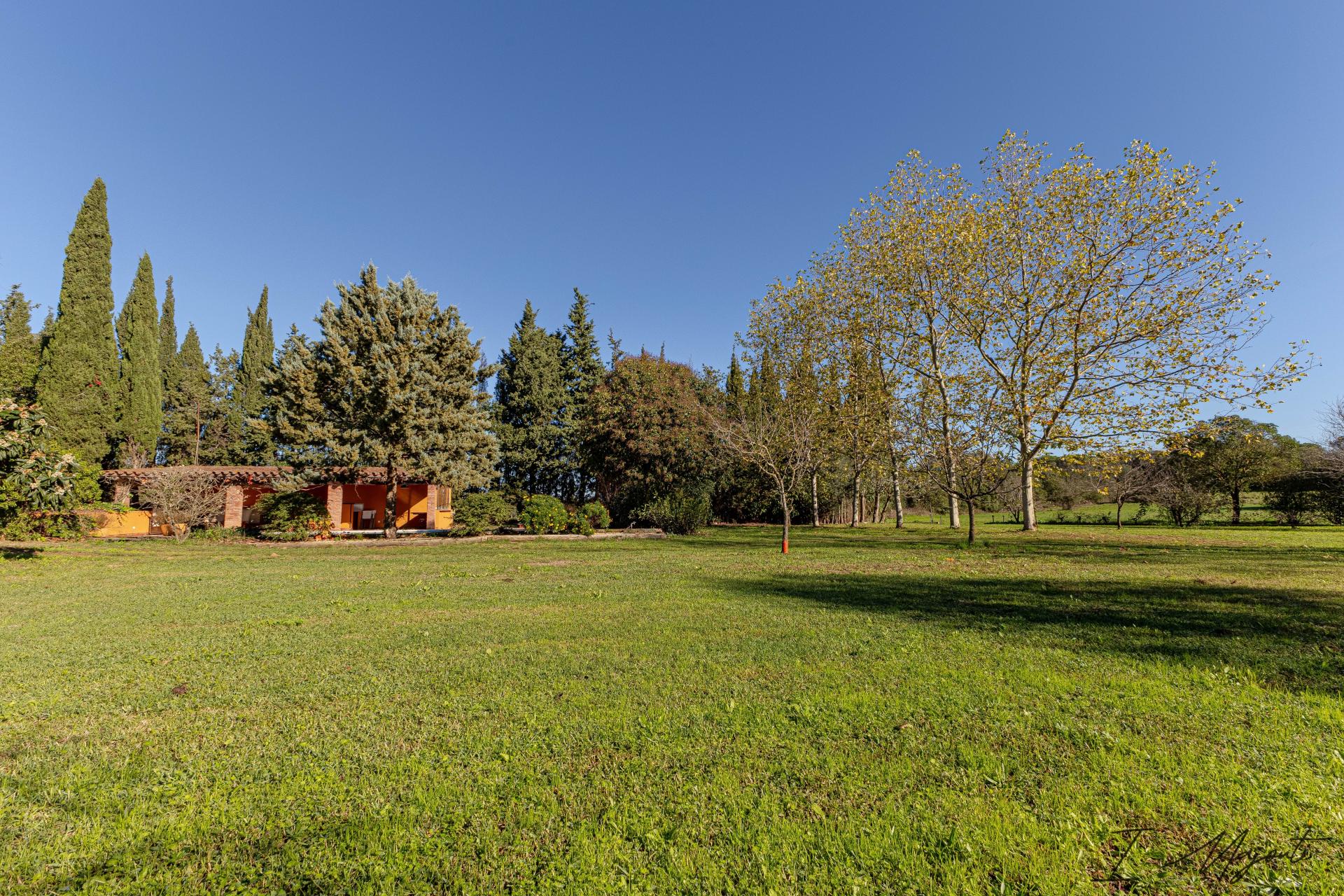 Photo 49 of the listing.