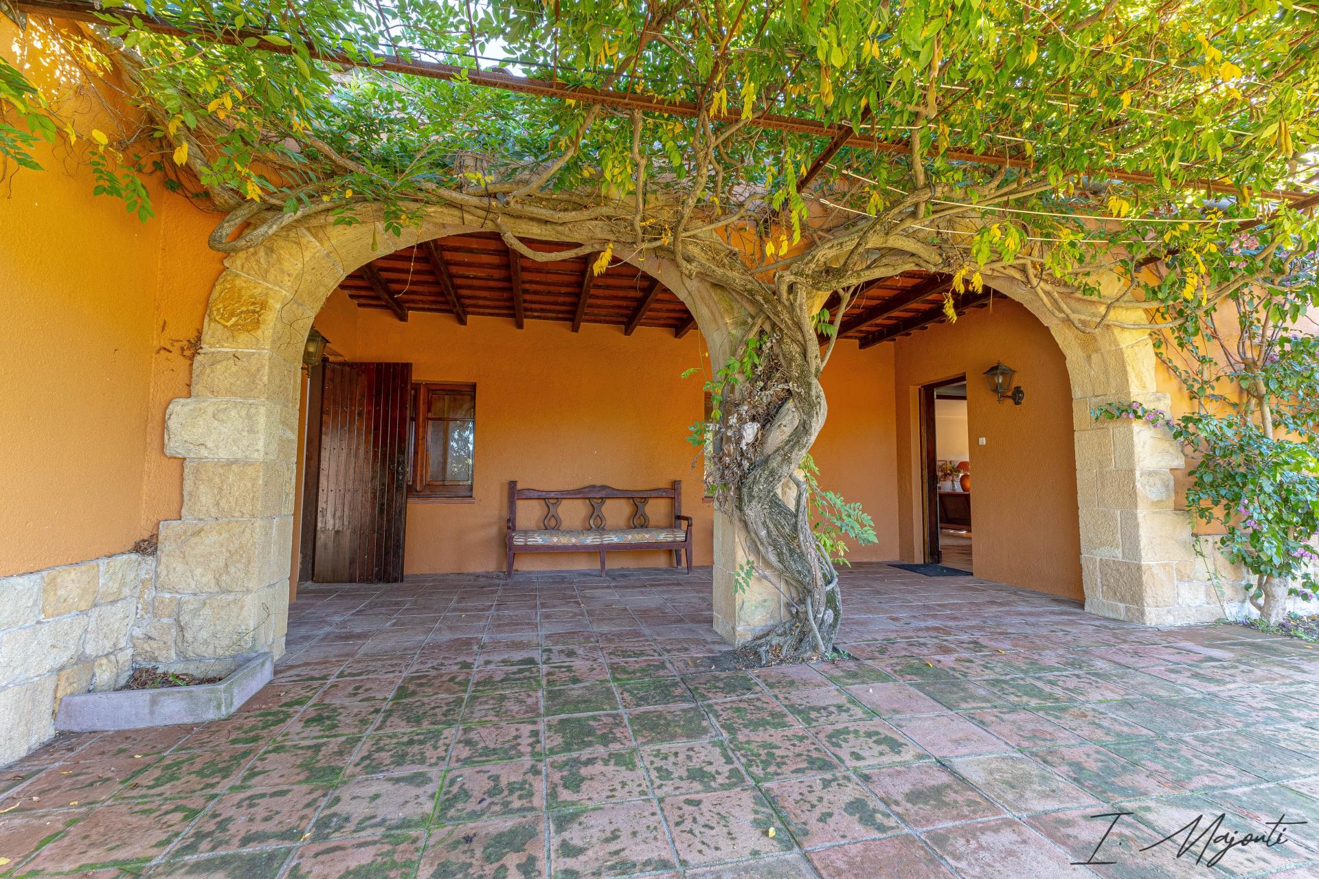 Photo 11 of the listing.