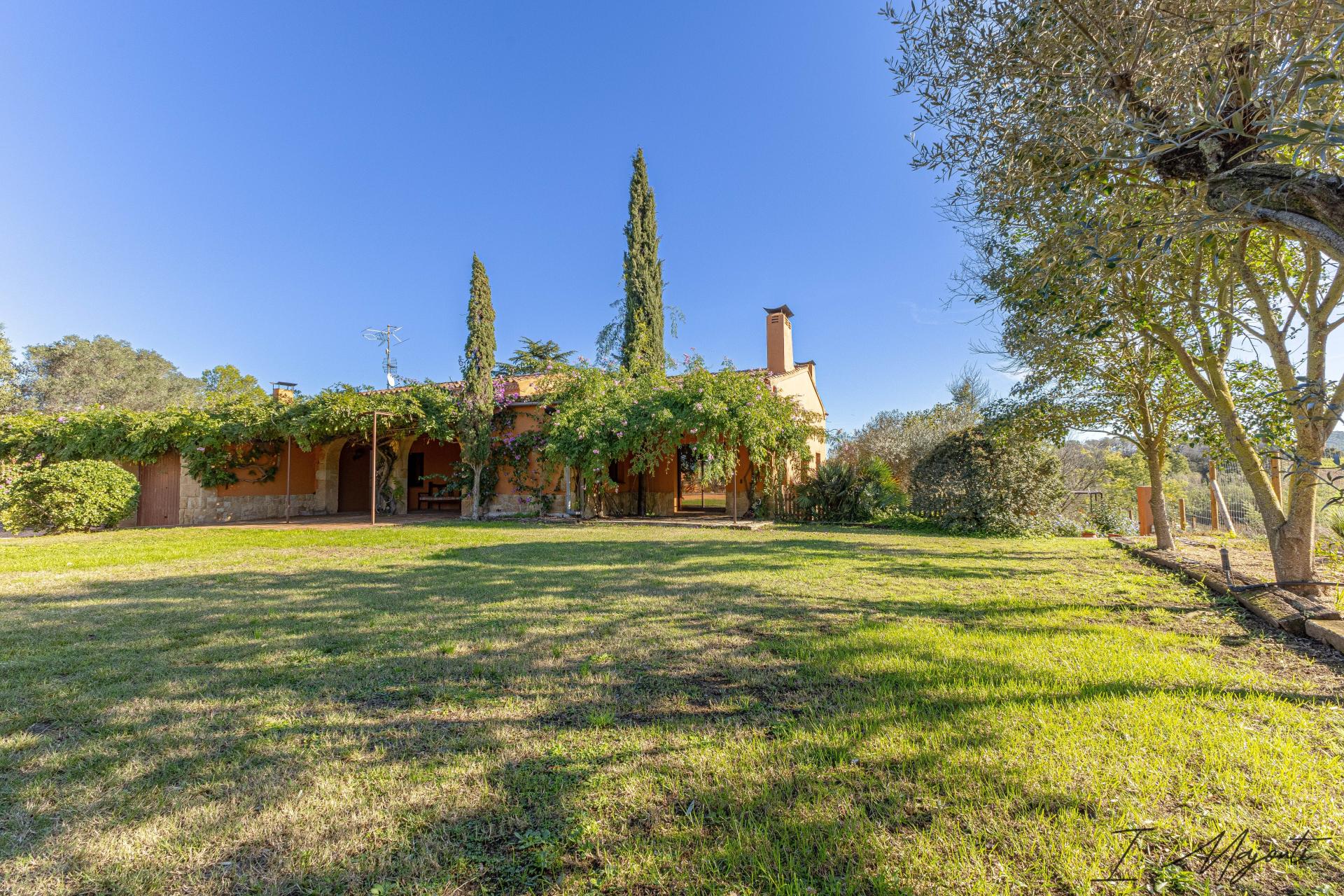 Photo 3 of the listing.