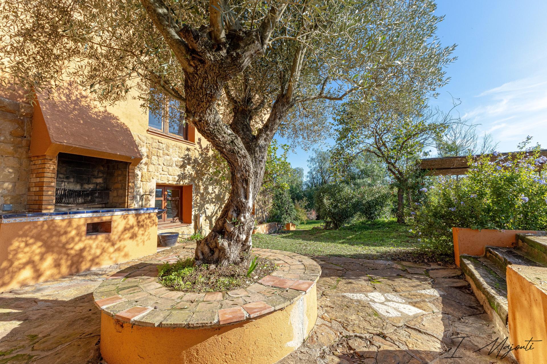 Photo 9 of the listing.