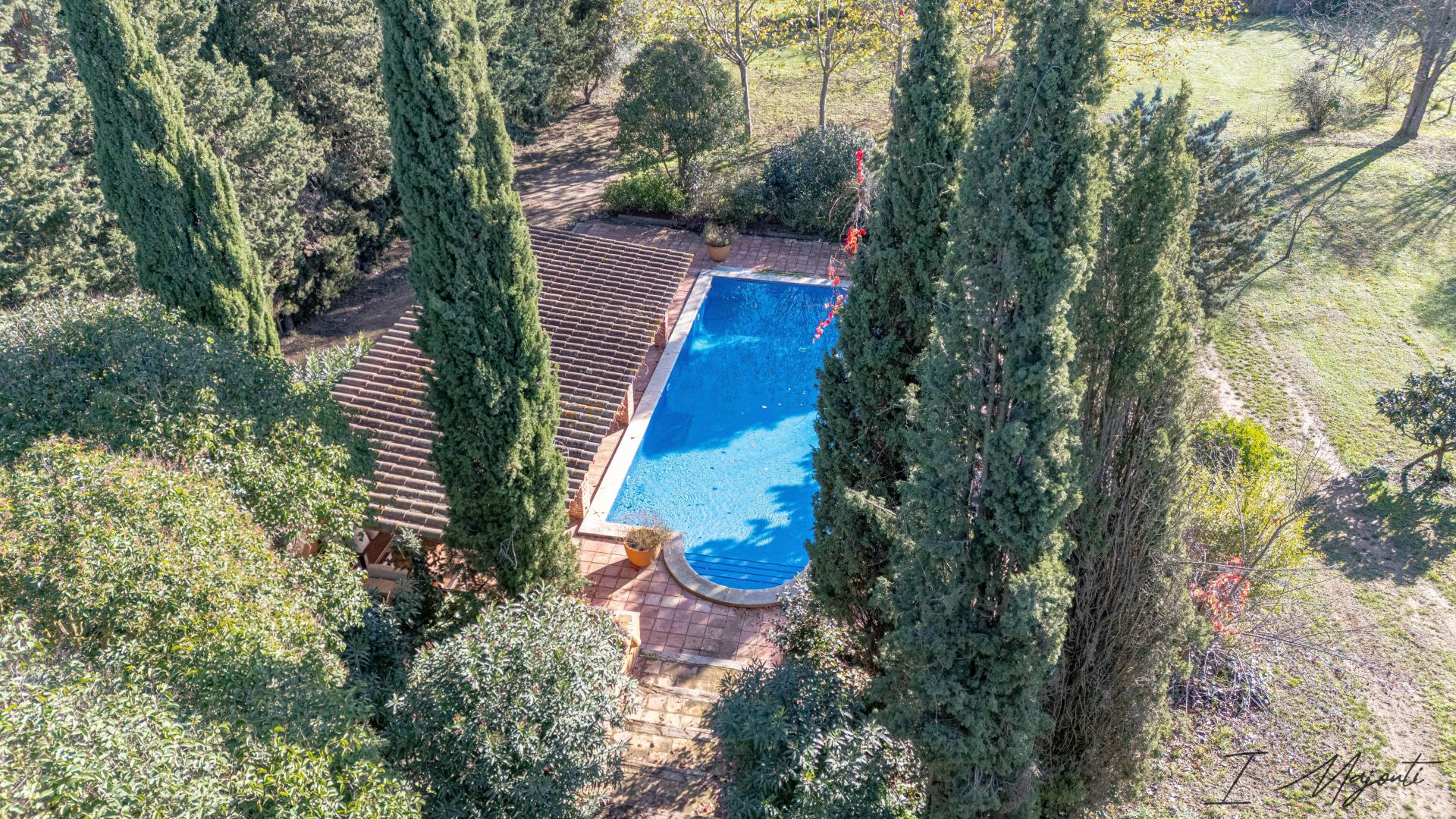 Photo 6 of the listing.