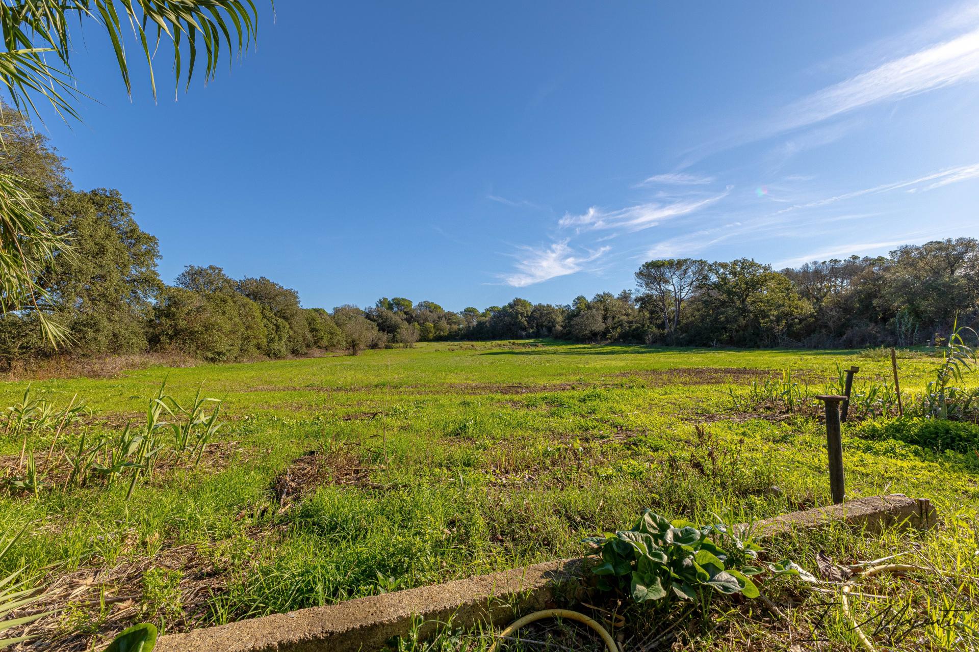 Photo 46 of the listing.