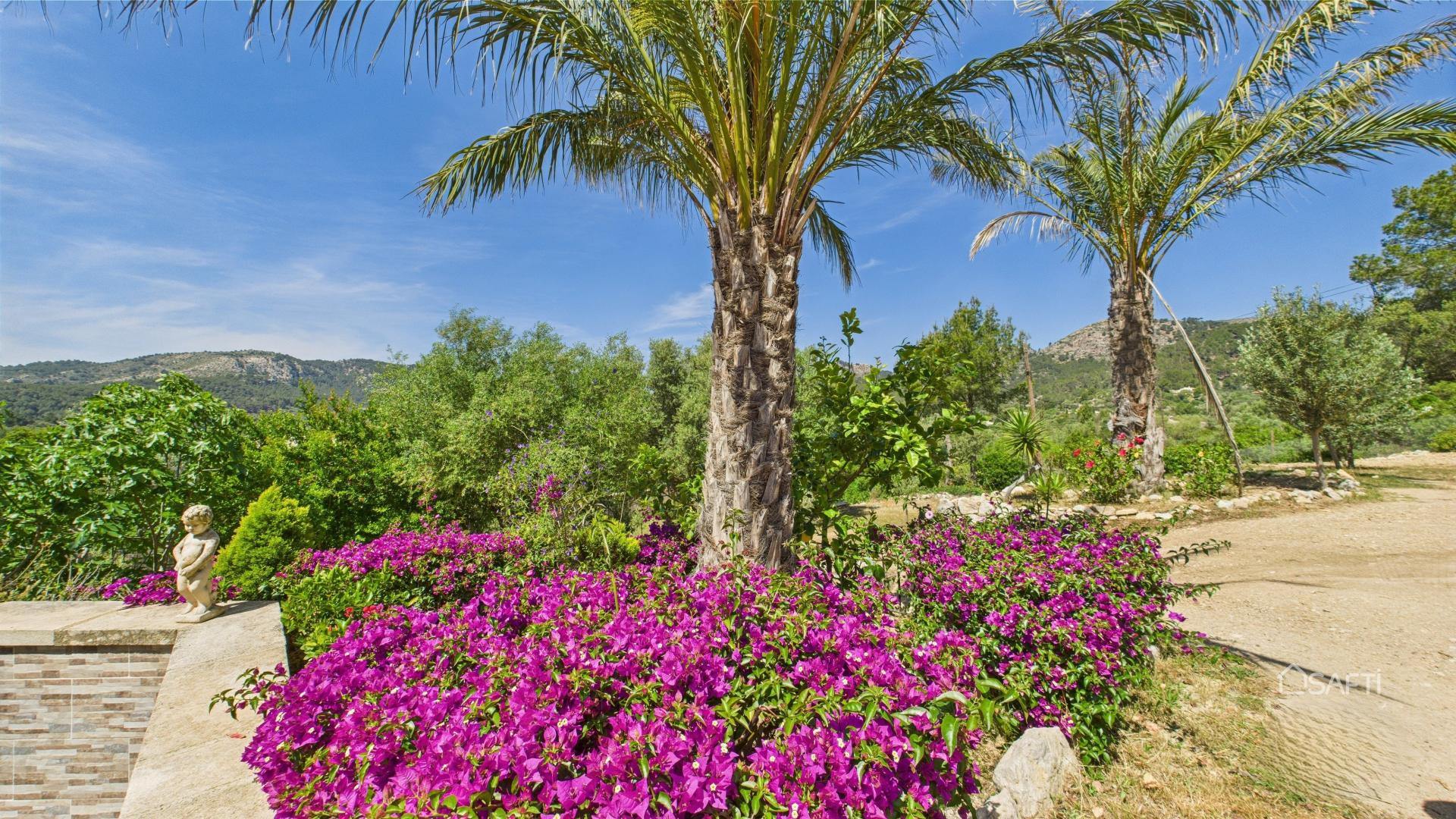 Photo 12 of the listing.