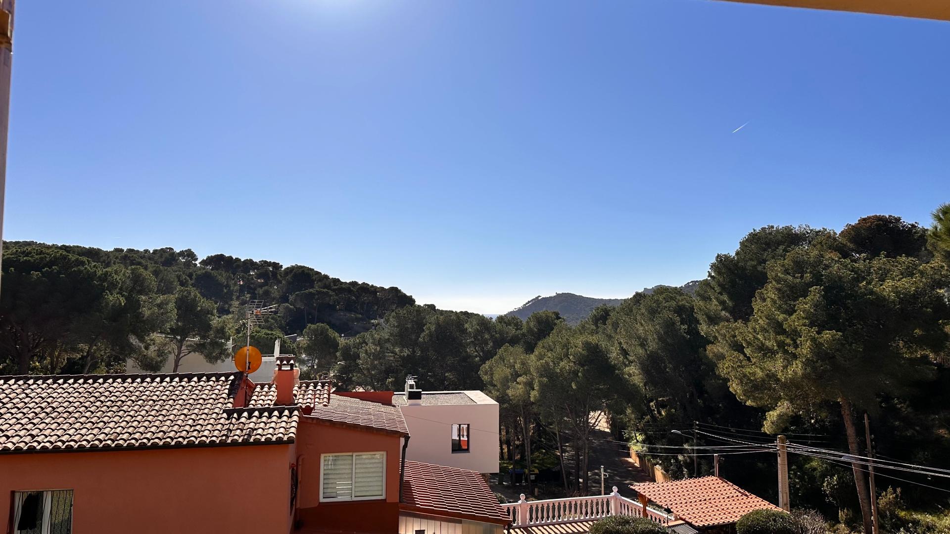 Photo 24 of the listing.