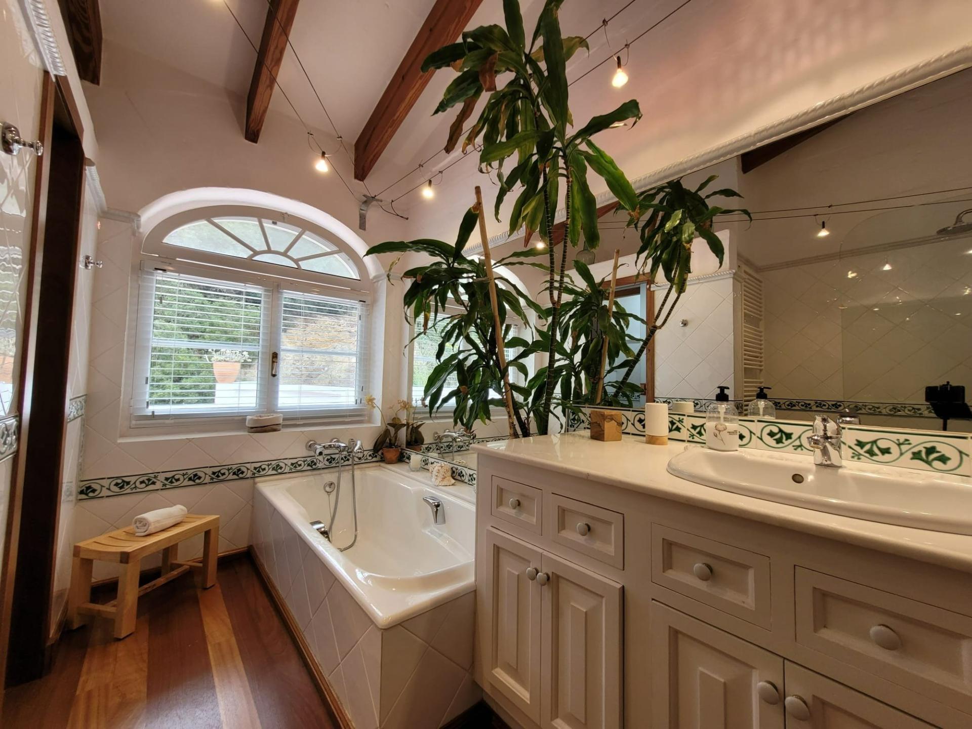 Photo 35 de l'annonce.