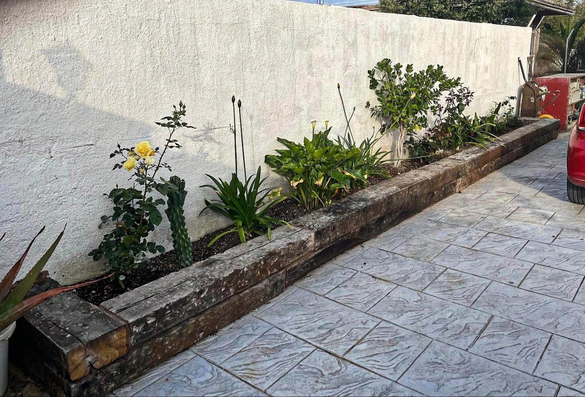 Photo 12 de l'annonce.