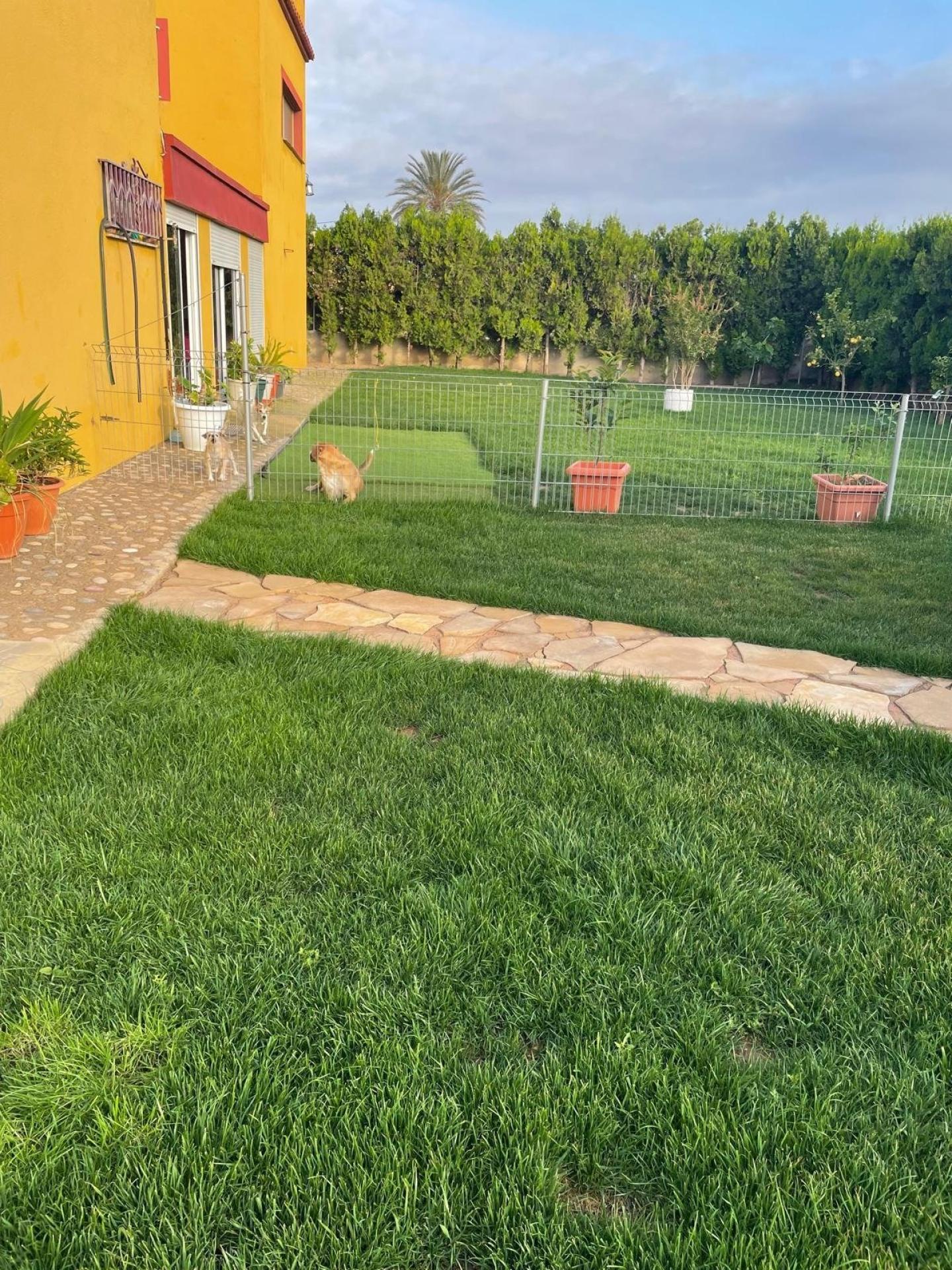 Photo 10 de l'annonce.