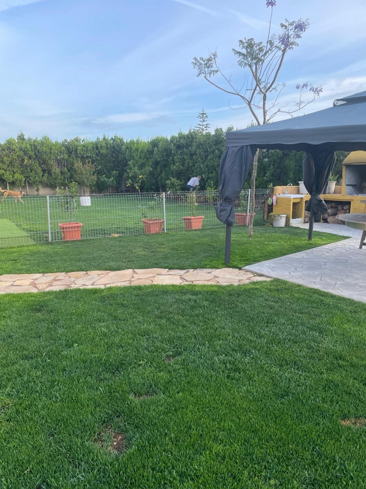 Photo 8 de l'annonce.