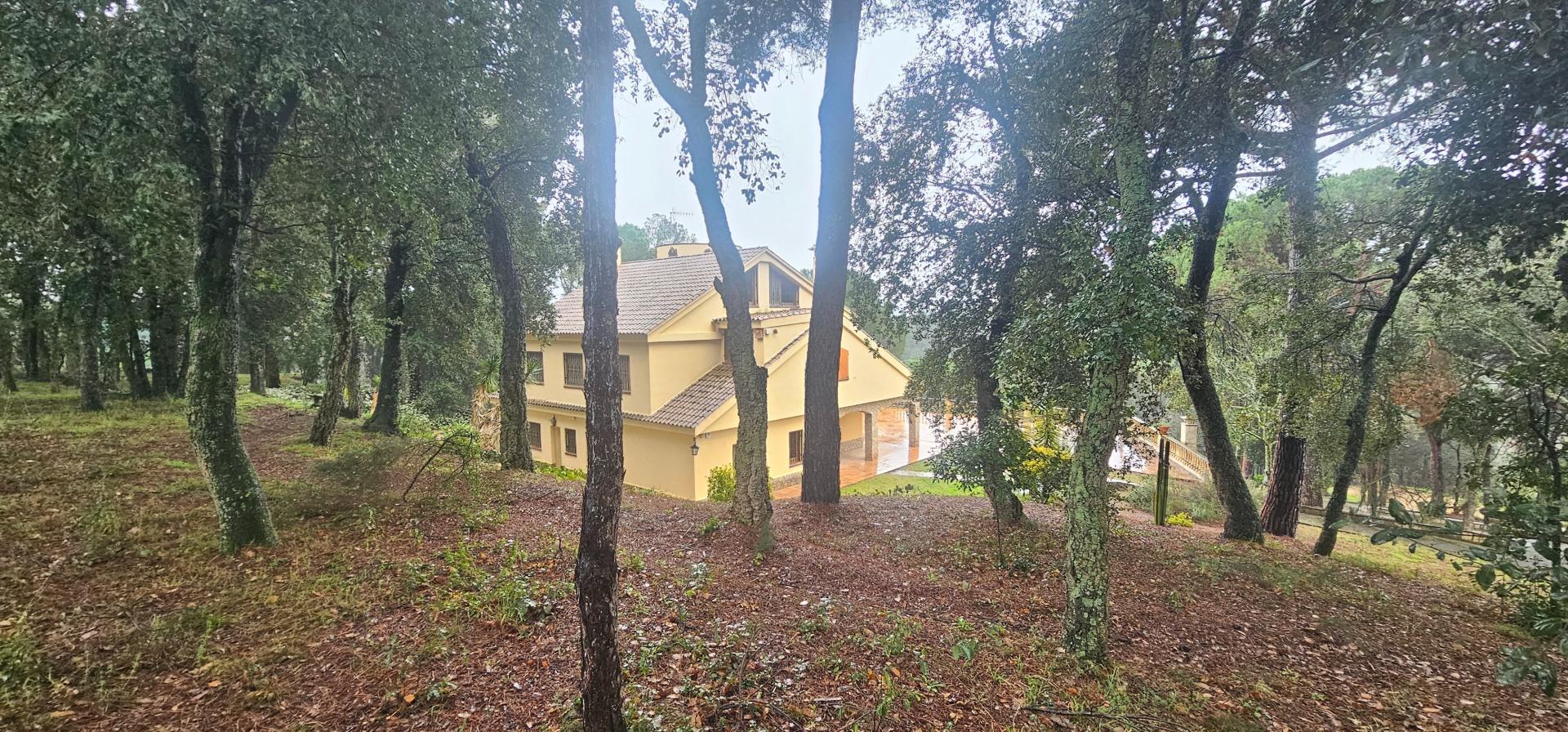 Photo 44 of the listing.