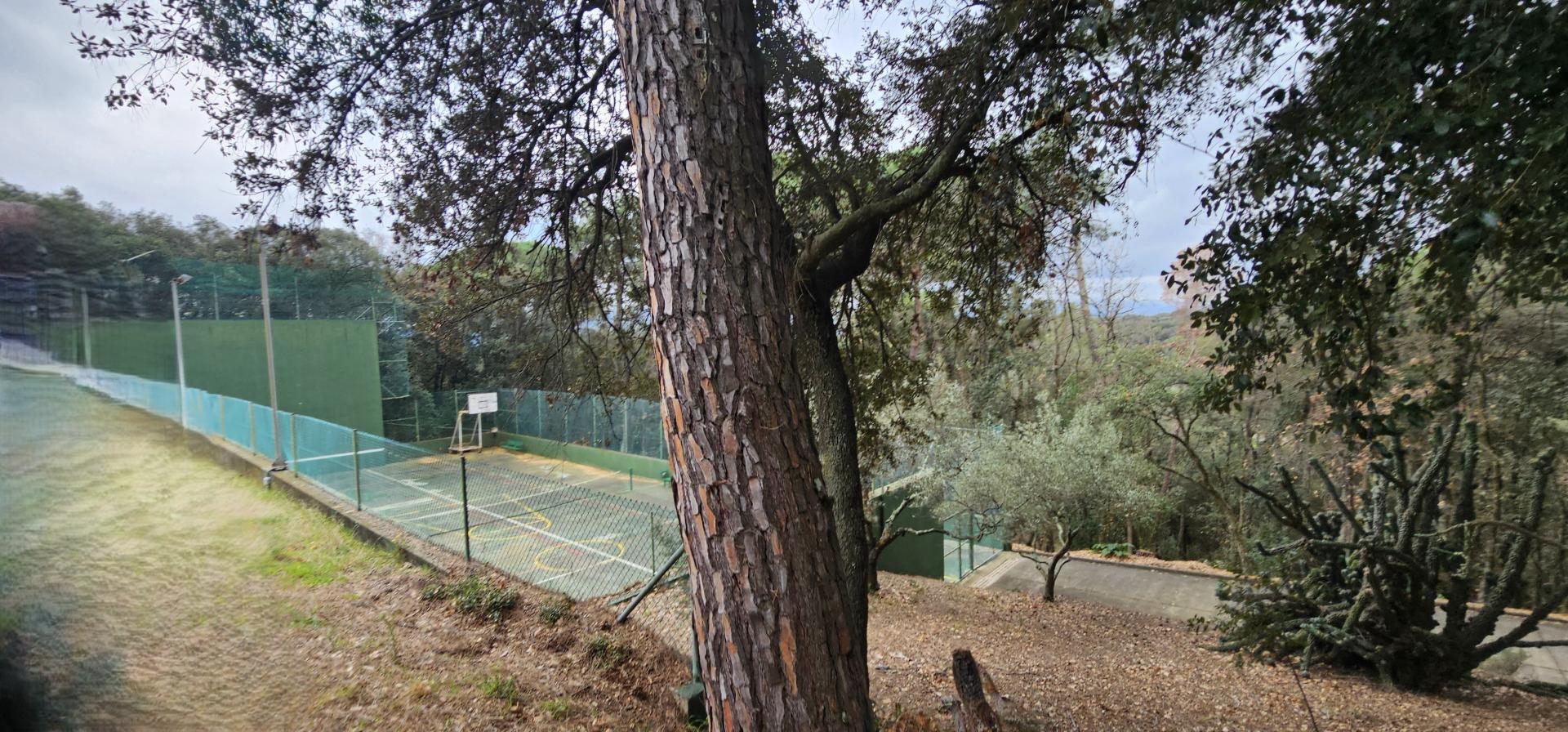 Photo 49 of the listing.