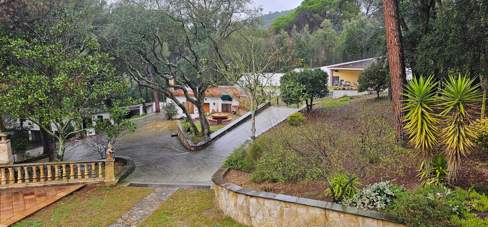 Photo 3 of the listing.