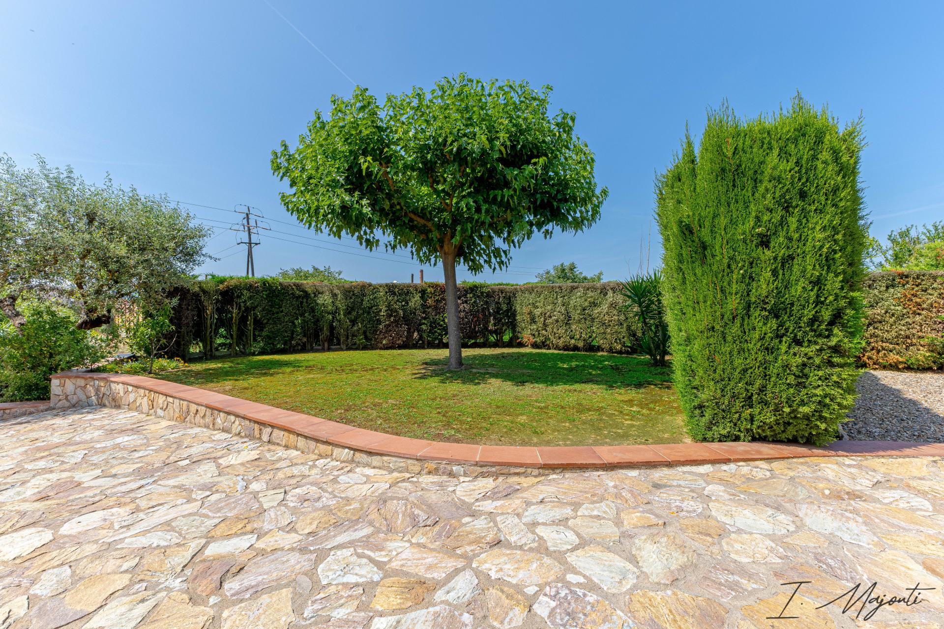 Photo 15 of the listing.