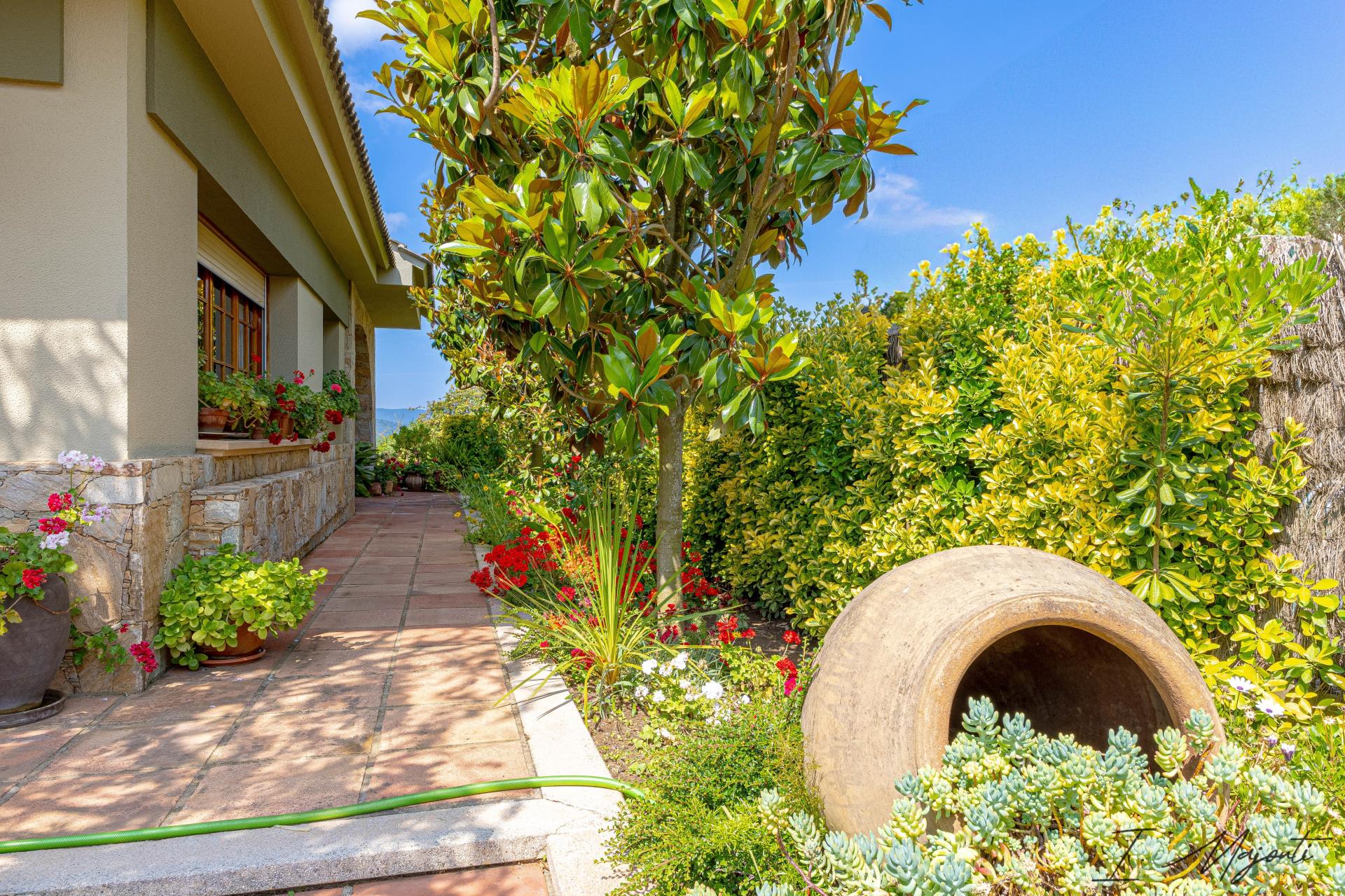 Photo 21 of the listing.