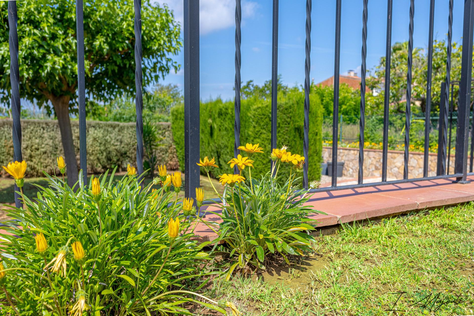 Photo 55 of the listing.