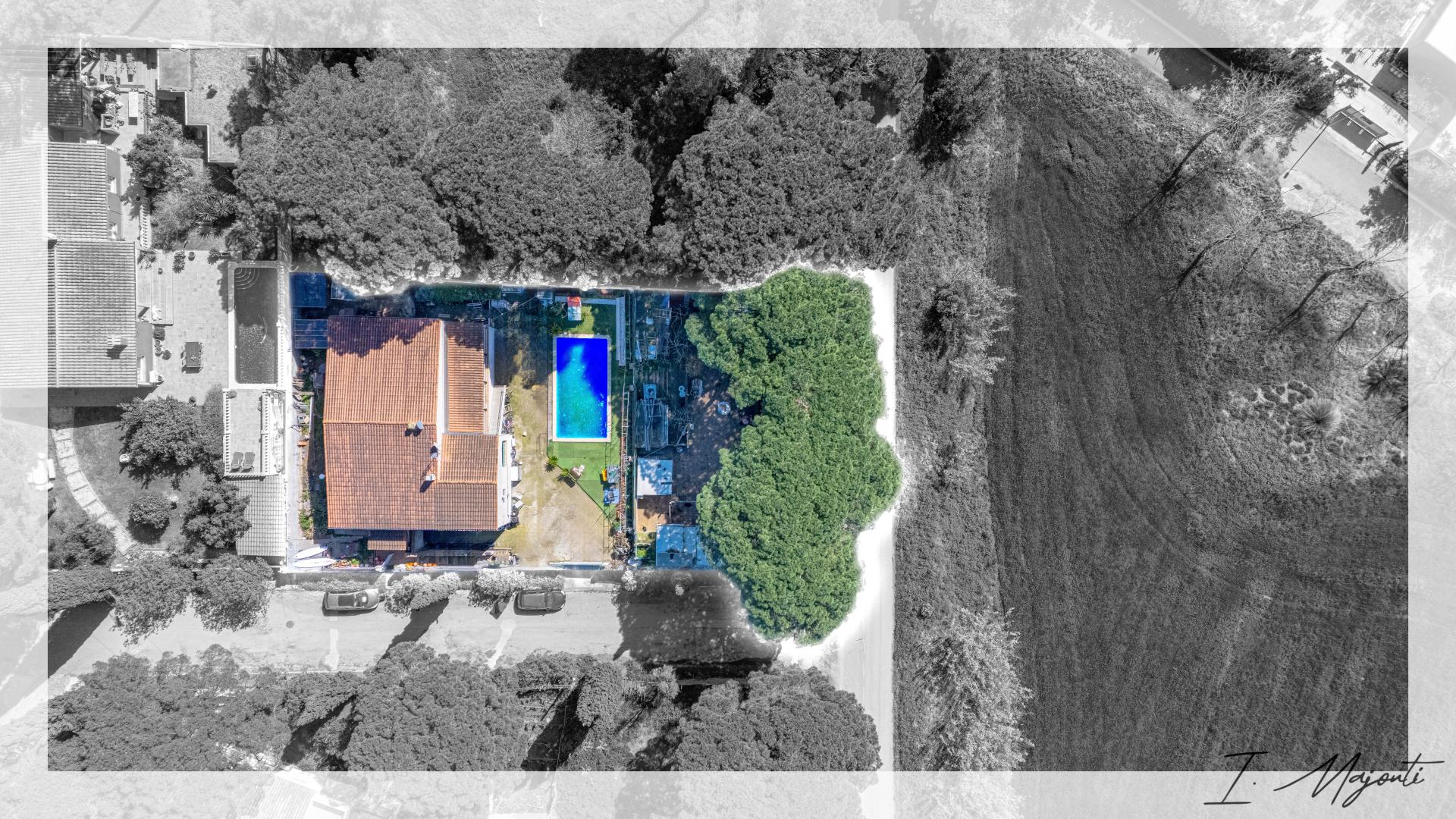 Photo 2 de l'annonce.