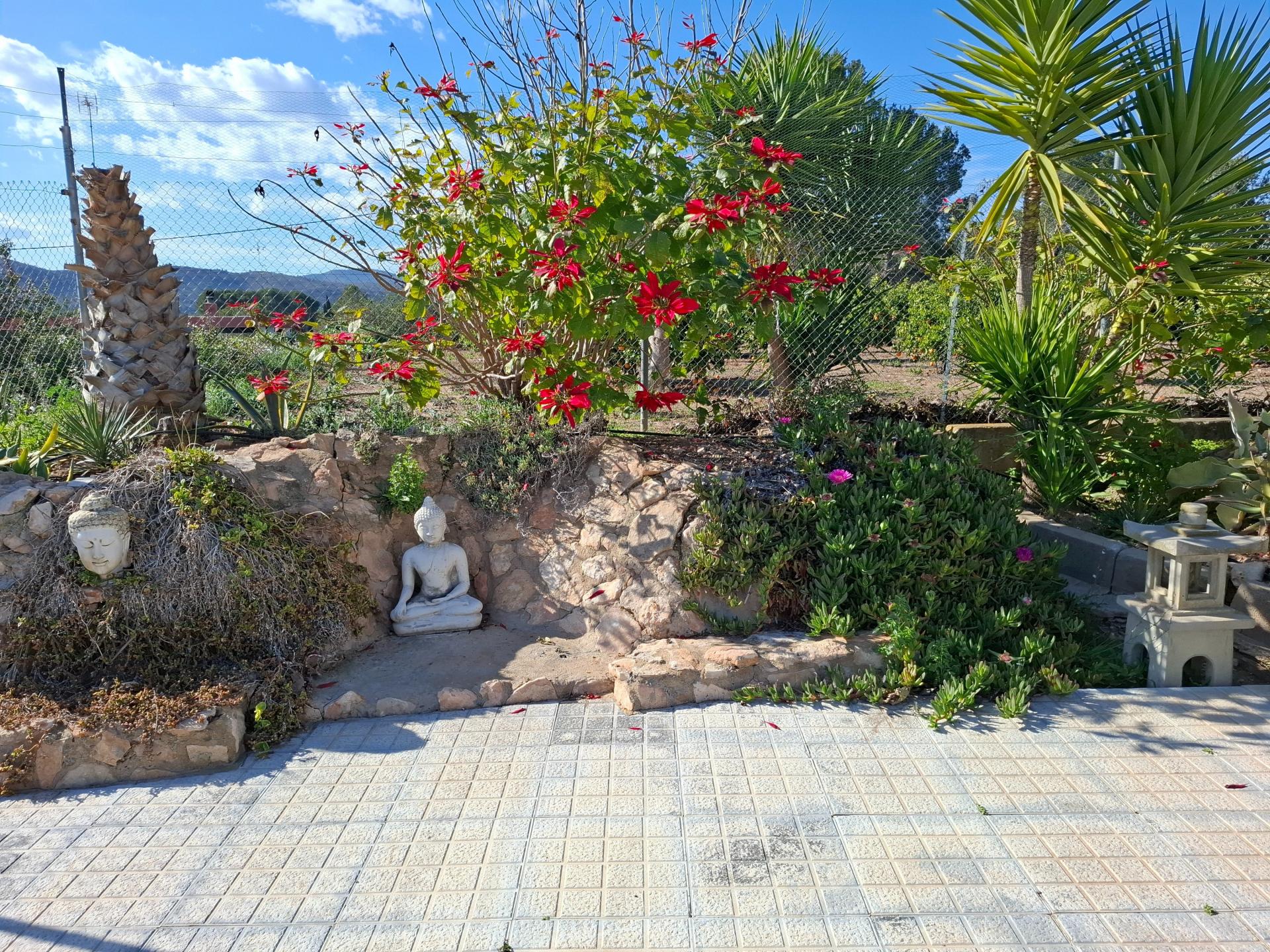 Foto 32 del anuncio.