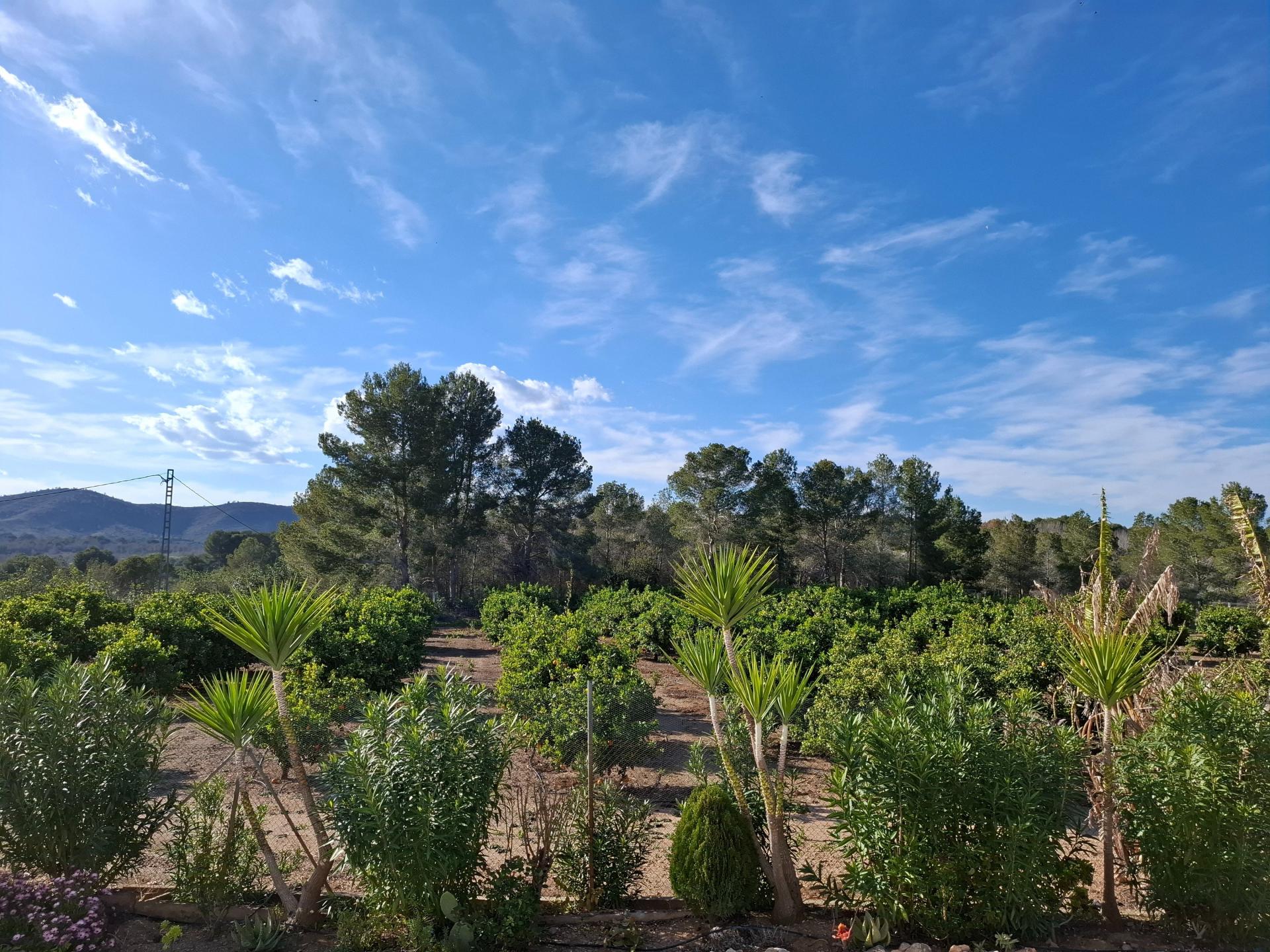 Foto 45 del anuncio.