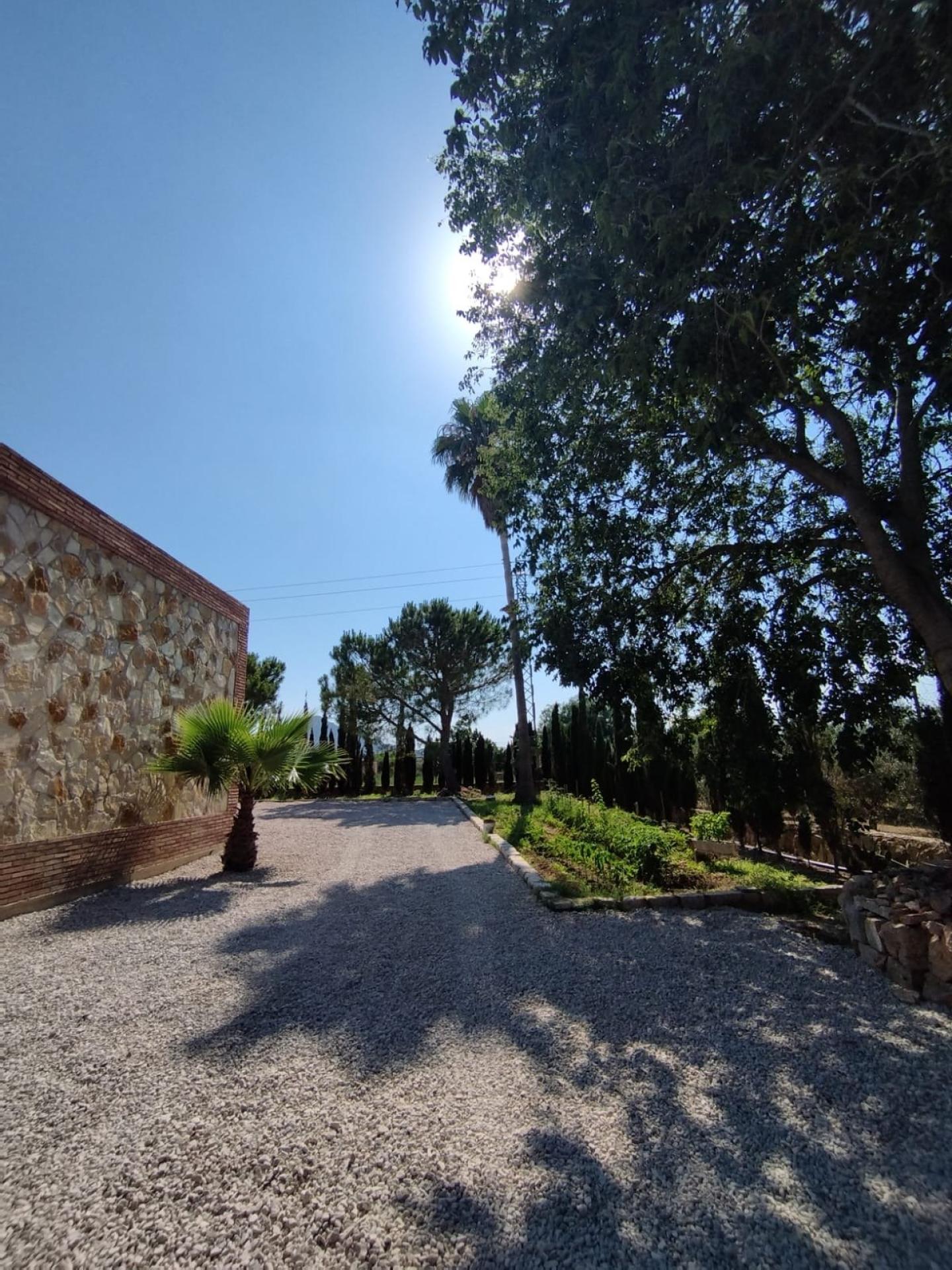 Photo 5 of the listing.