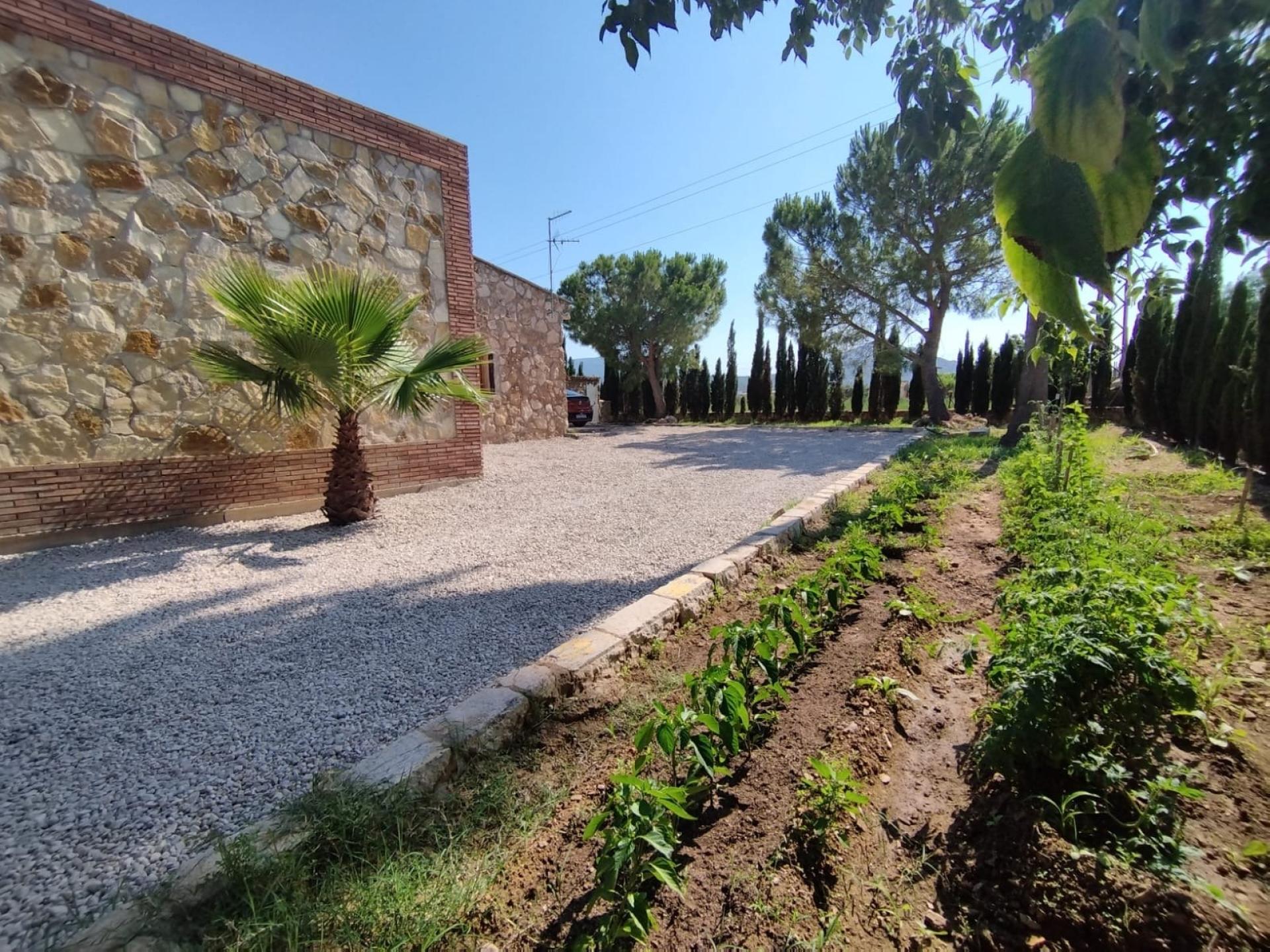 Photo 7 of the listing.