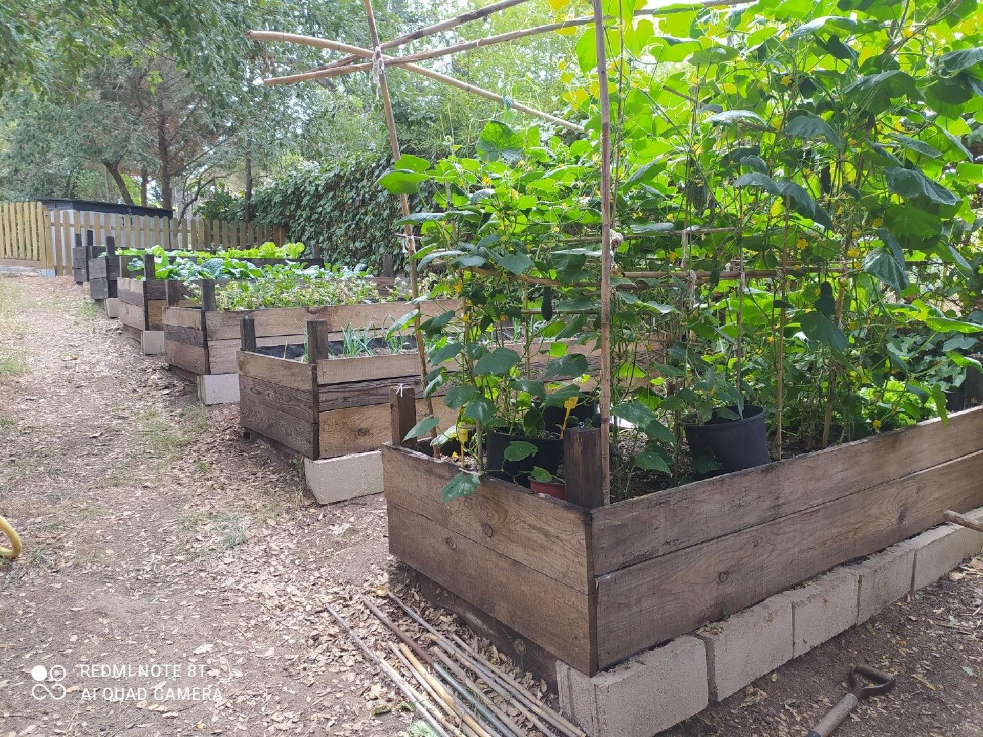 Photo 23 of the listing.