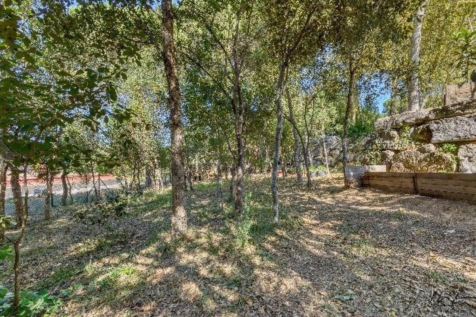 Photo 19 of the listing.