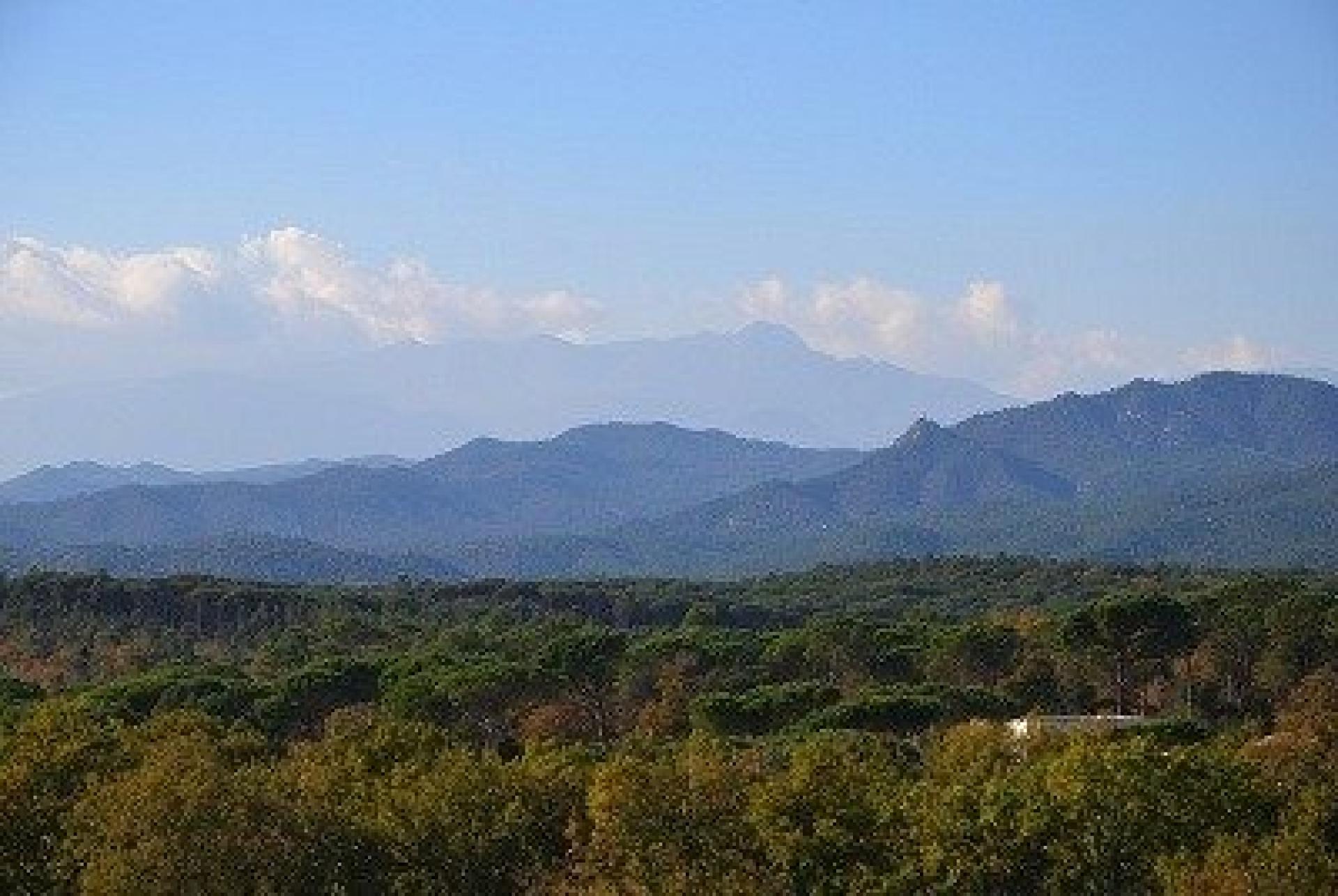 Photo 9 of the listing.