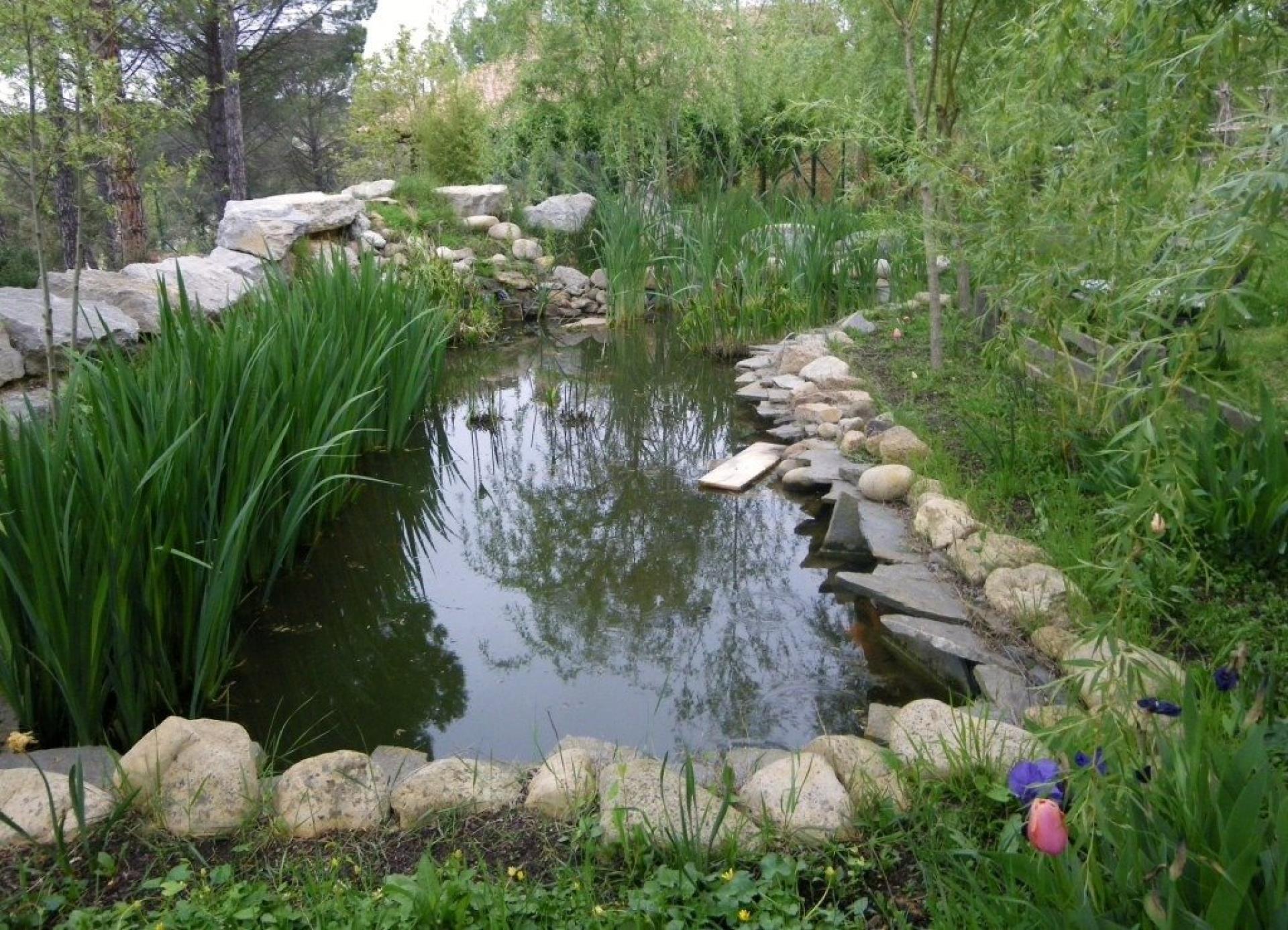 Photo 14 of the listing.