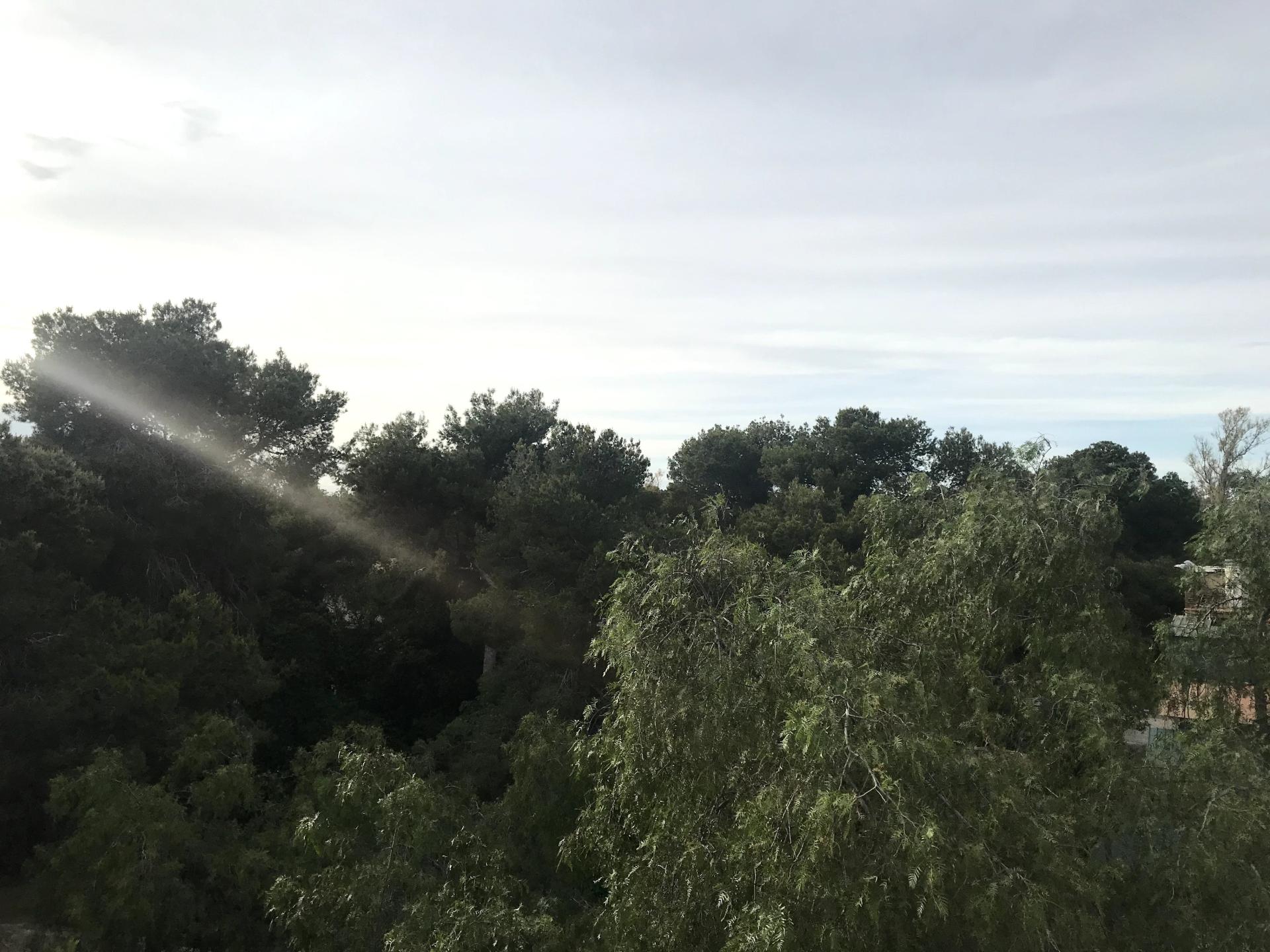 Photo 7 de l'annonce.