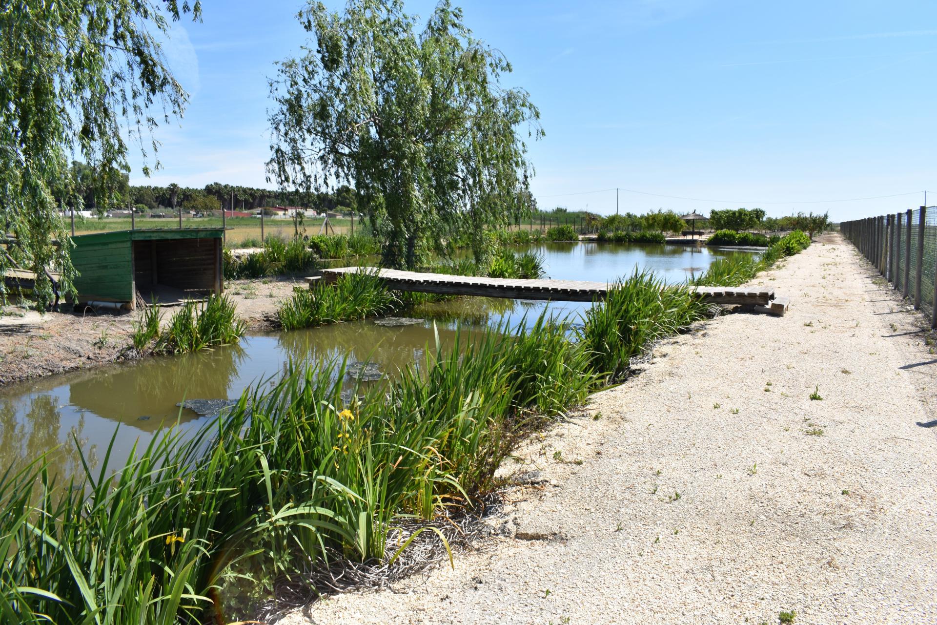 Photo 23 de l'annonce.