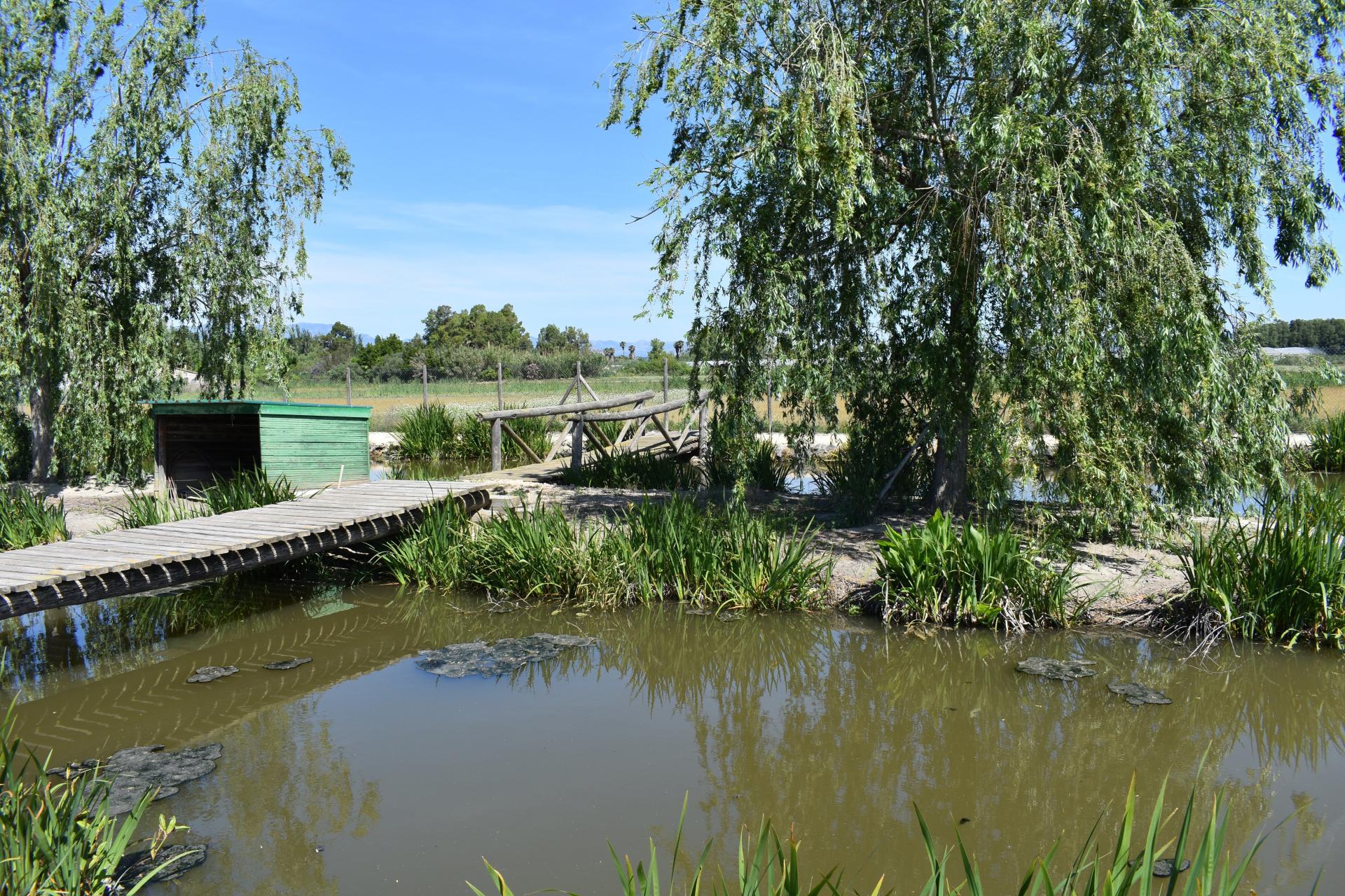 Photo 21 de l'annonce.