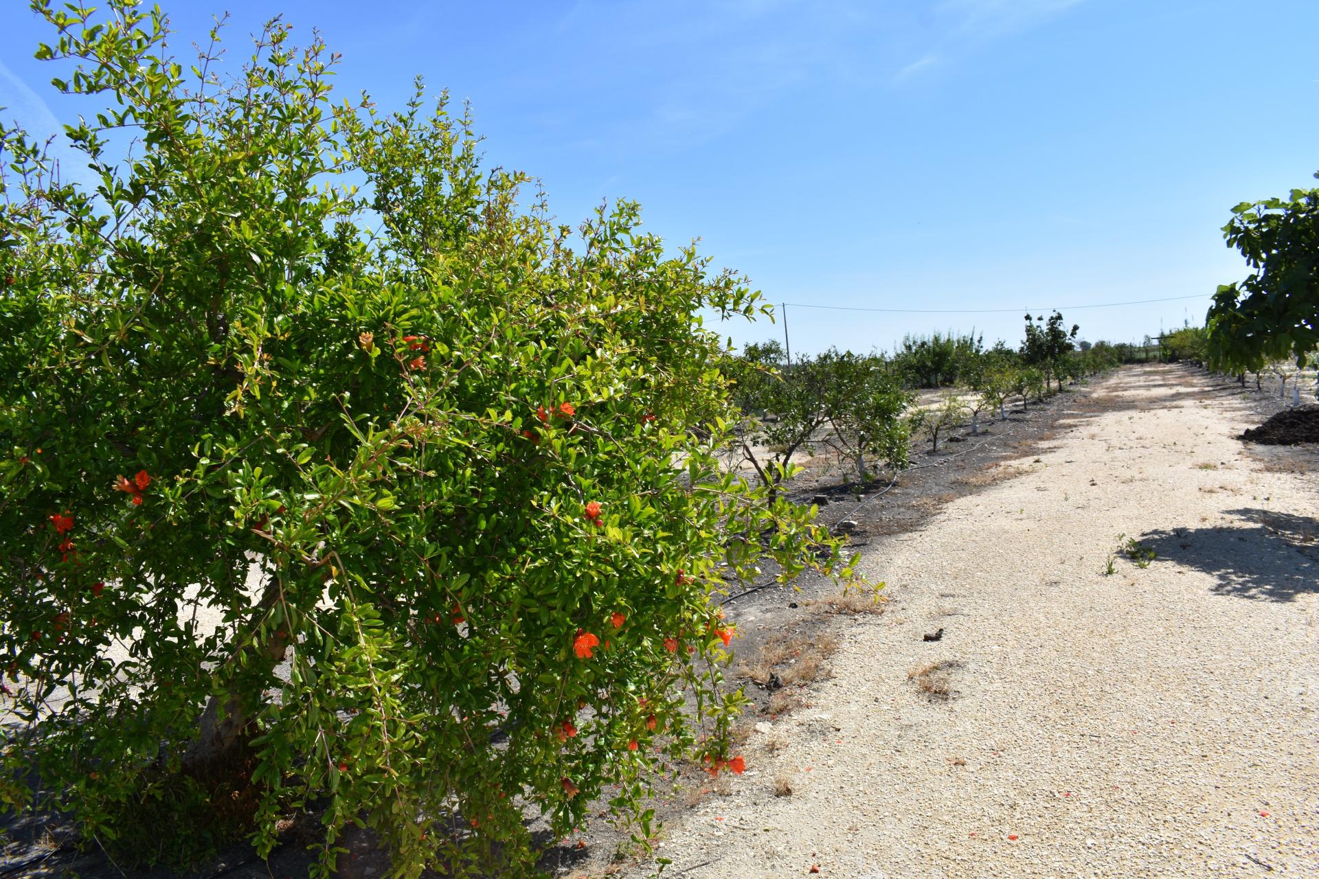 Photo 18 de l'annonce.