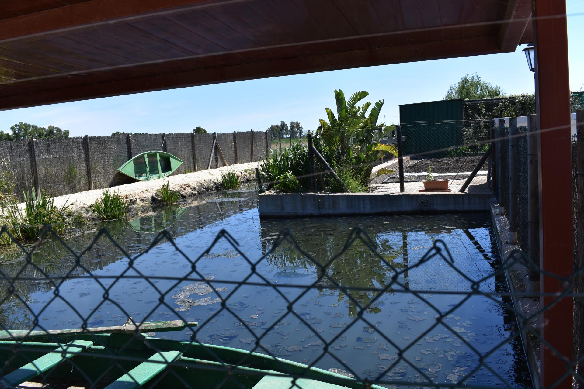 Photo 30 de l'annonce.