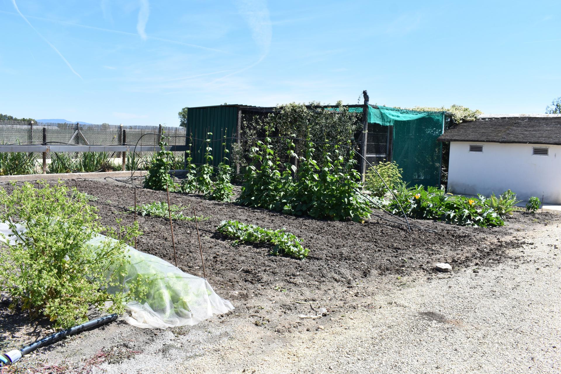 Photo 26 de l'annonce.