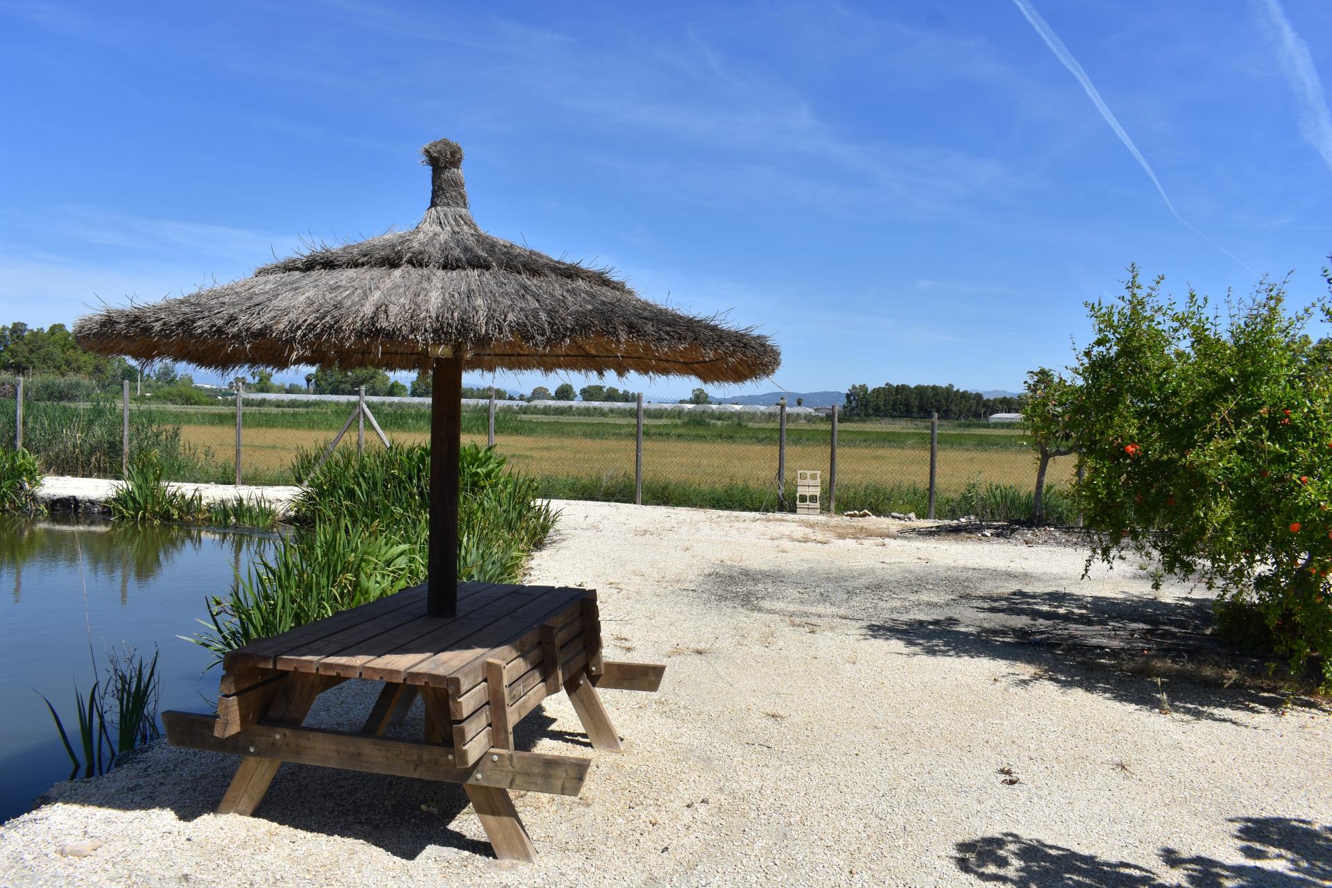 Photo 20 de l'annonce.