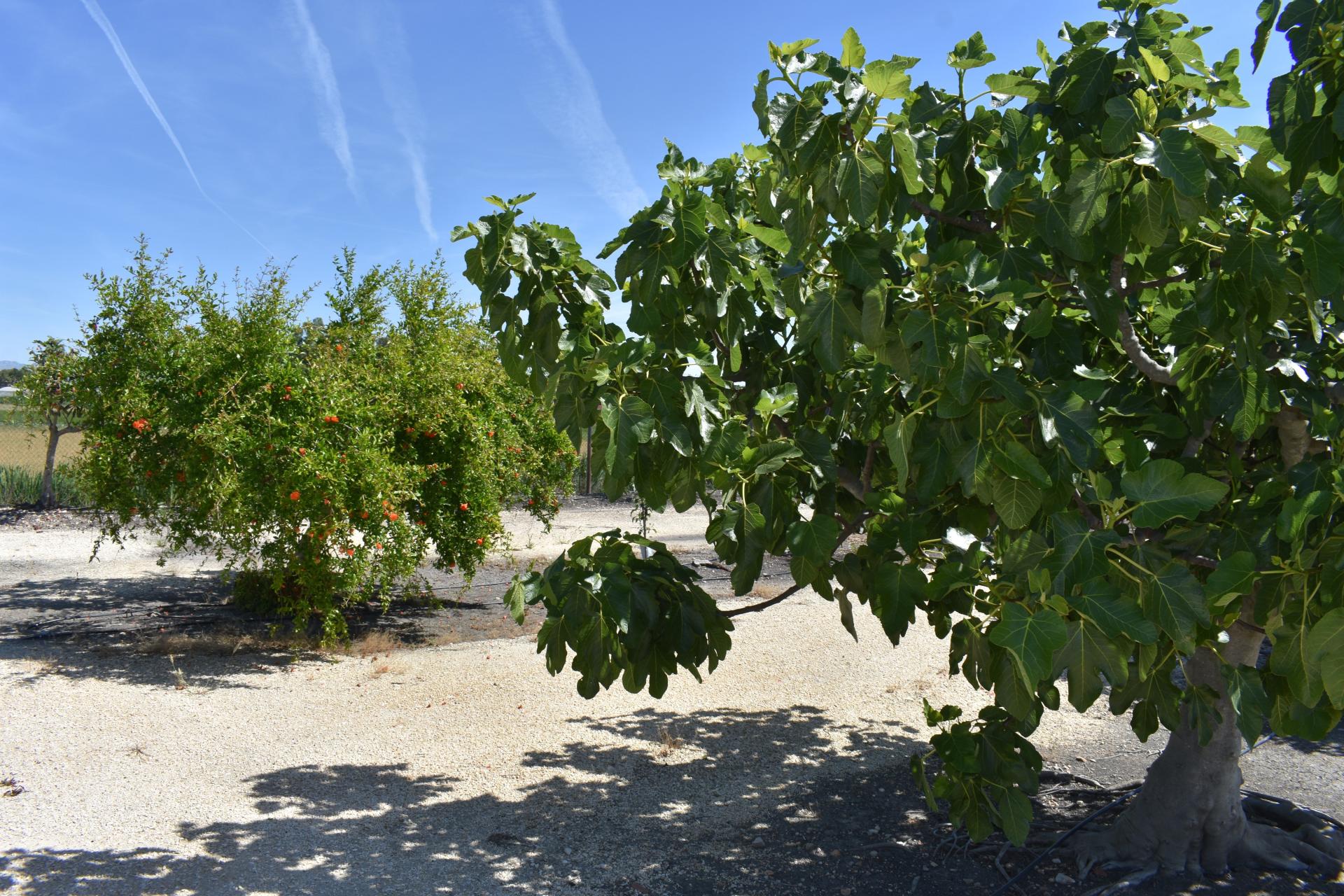 Photo 19 de l'annonce.