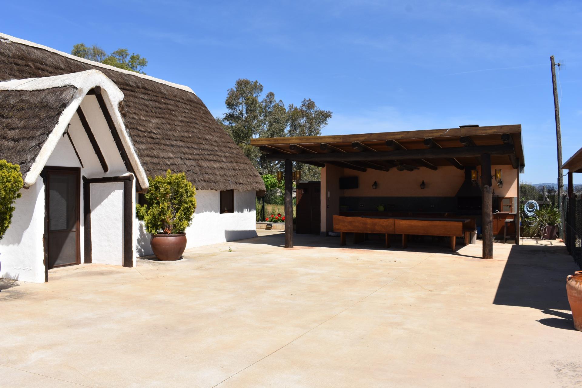 Photo 6 de l'annonce.