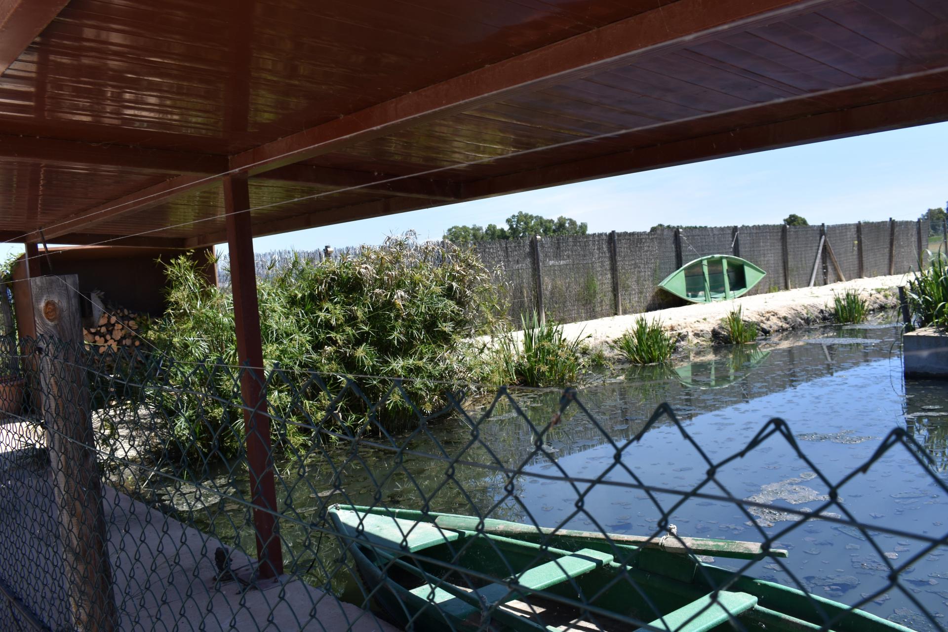 Photo 29 de l'annonce.