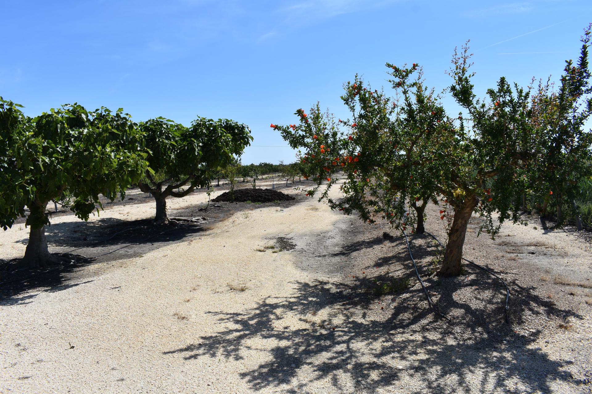 Photo 17 de l'annonce.