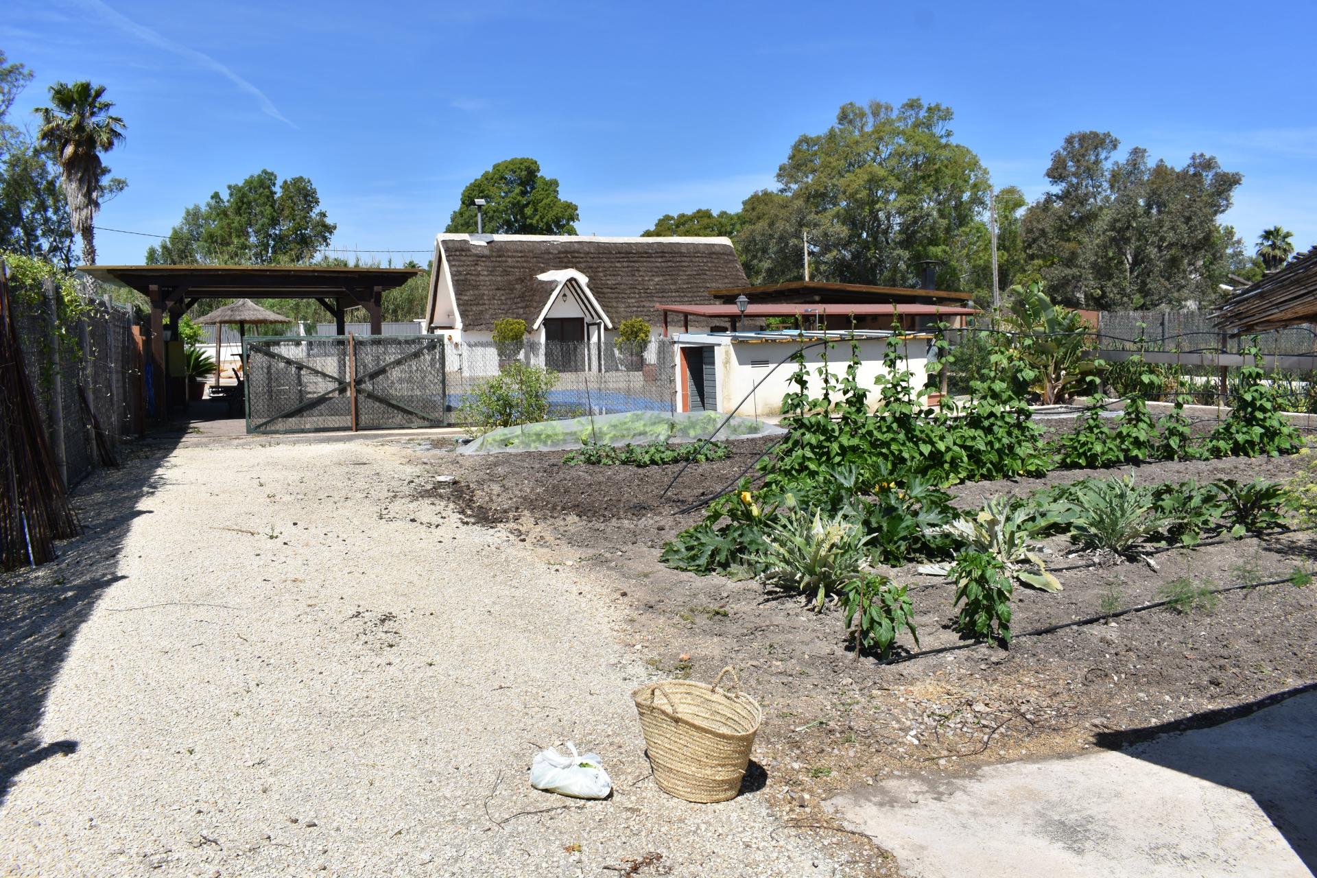 Photo 9 de l'annonce.