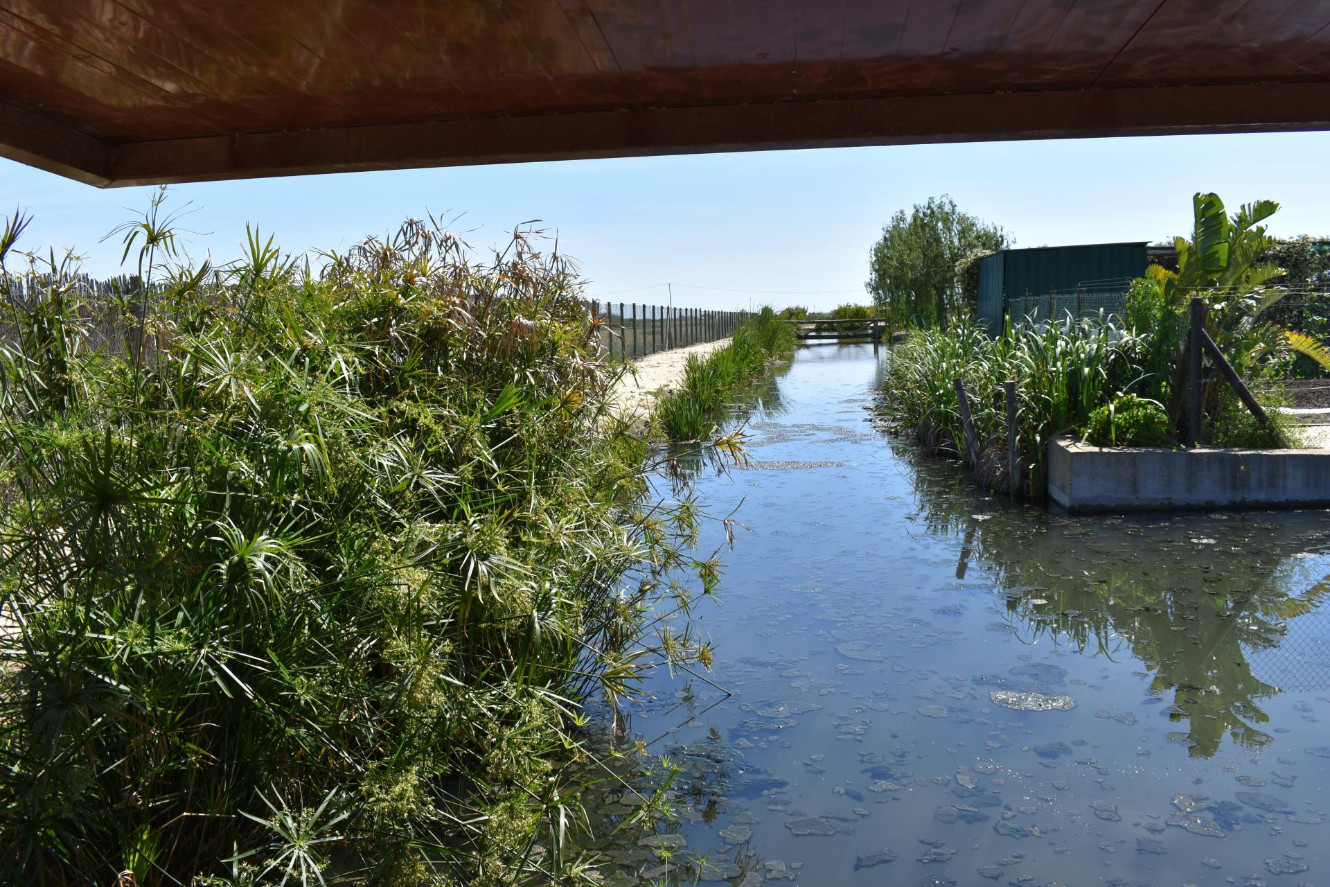 Photo 33 de l'annonce.