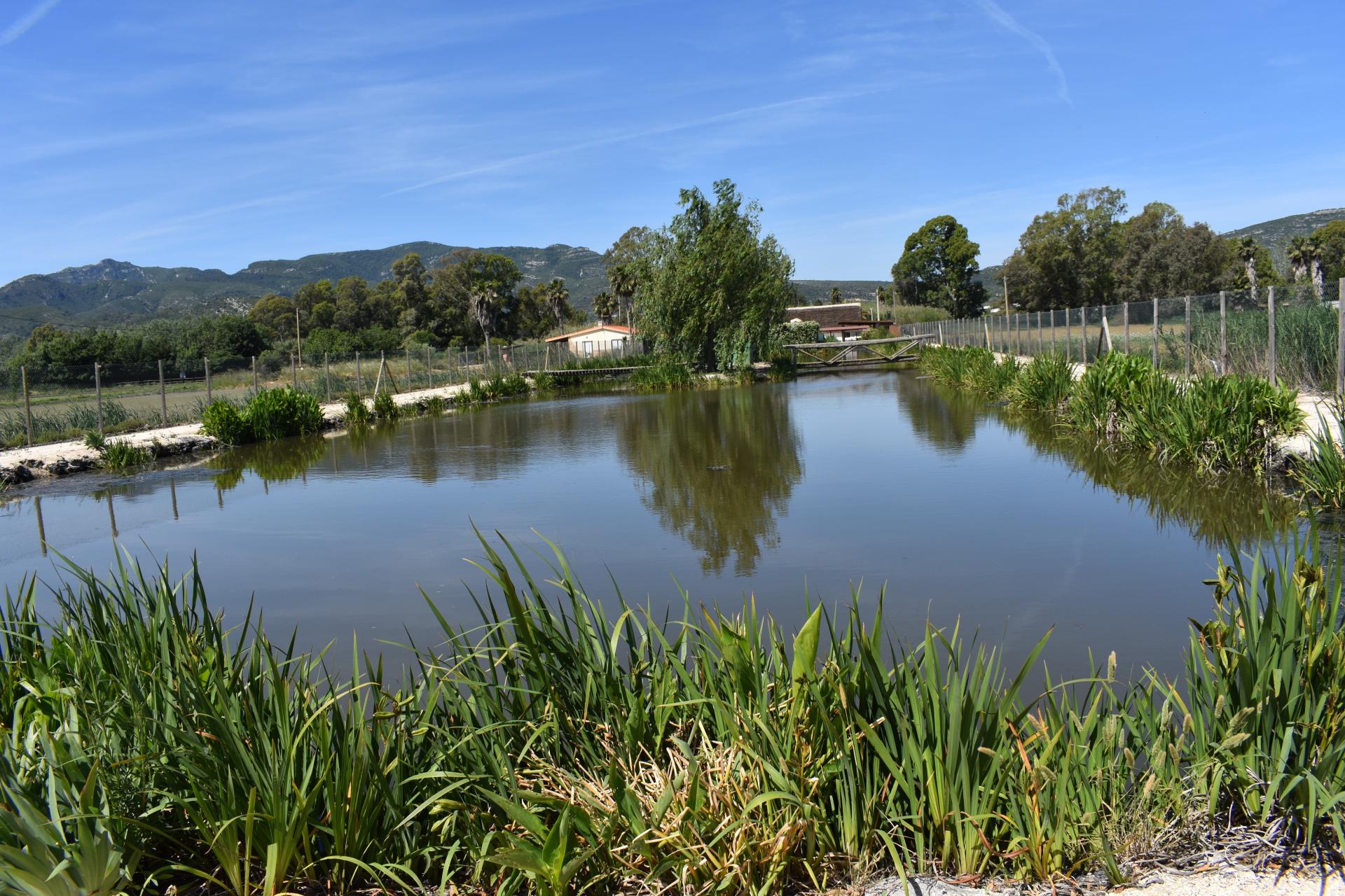 Photo 16 de l'annonce.