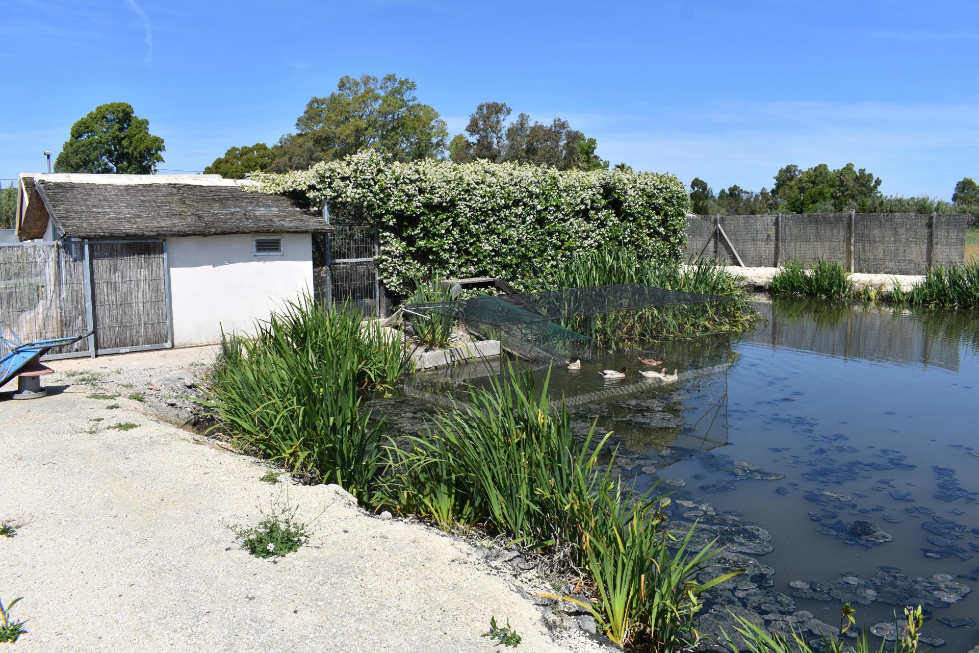 Photo 10 de l'annonce.