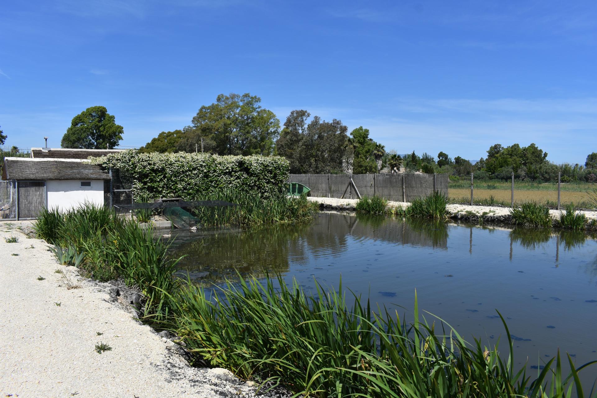 Photo 24 de l'annonce.