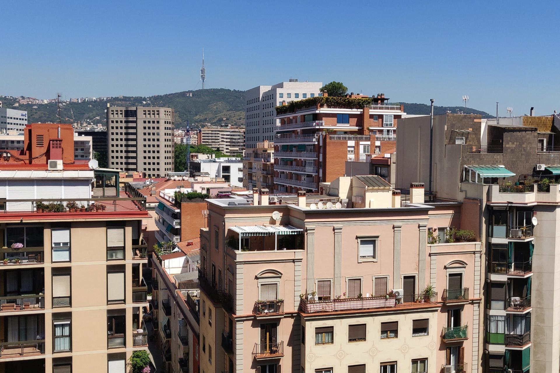 Photo 26 de l'annonce.