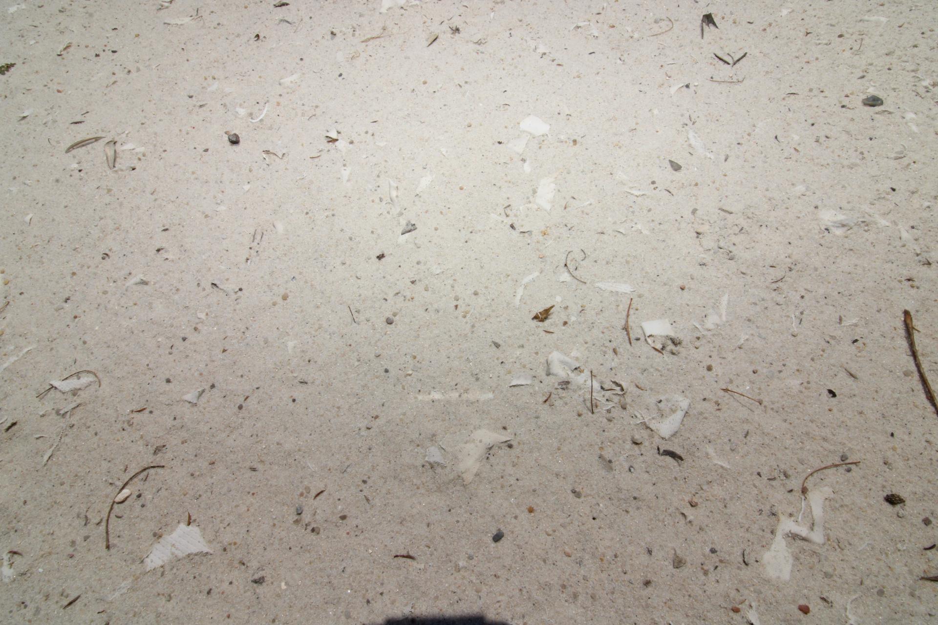 Foto 15 del anuncio.