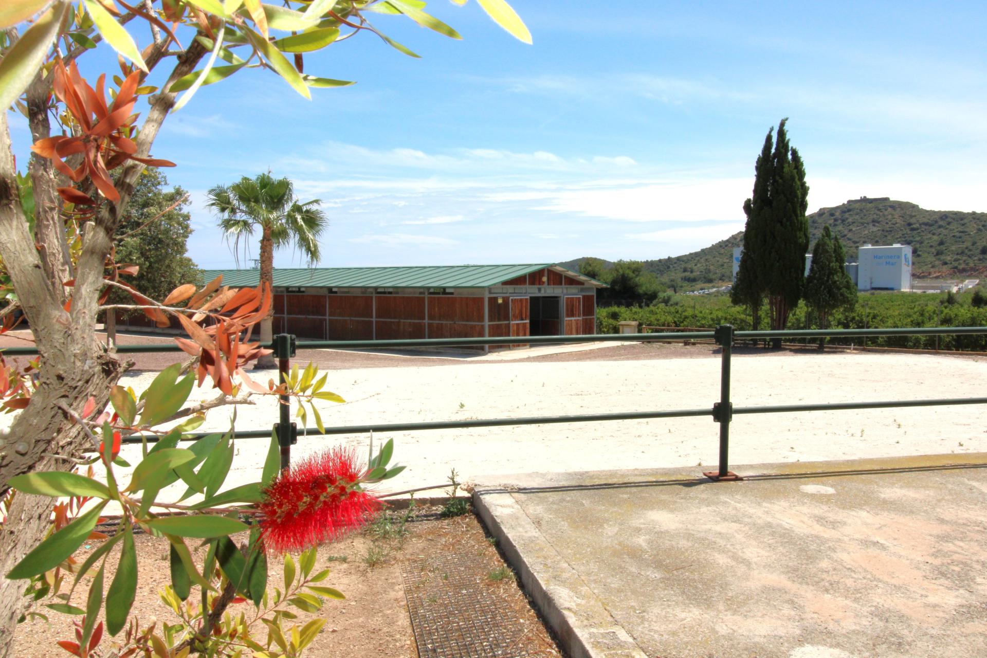 Foto 62 del anuncio.